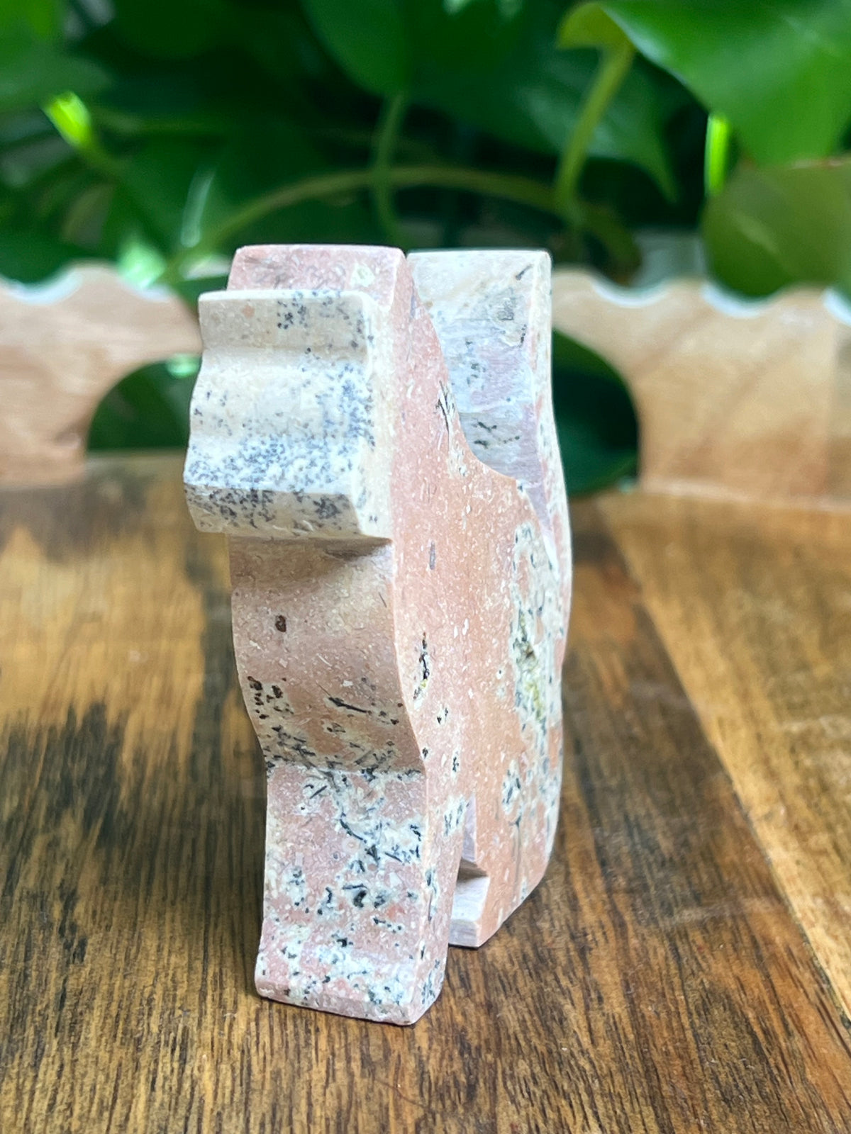 Dendritic Jasper Cat: KC