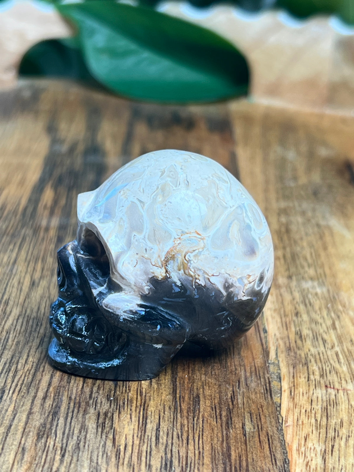 Palm Root Mini Skull: Ni