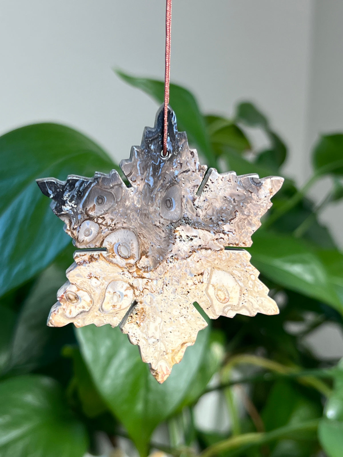 Palm Root Snowflake Ornaments