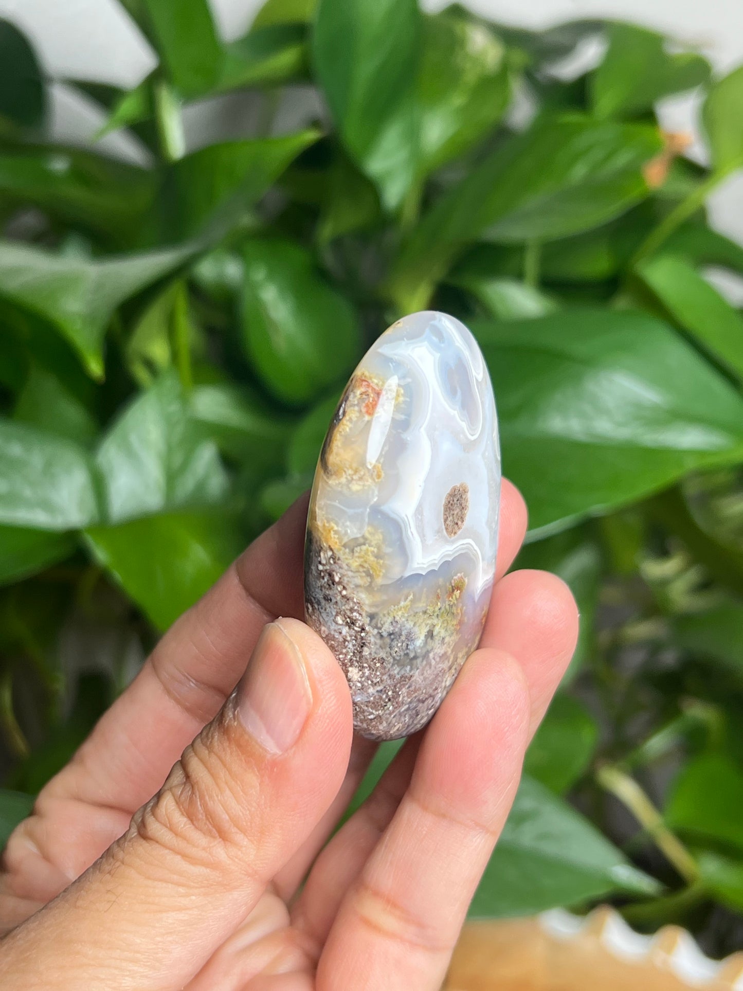 Scenic Moss Agate Palmstone: Qi