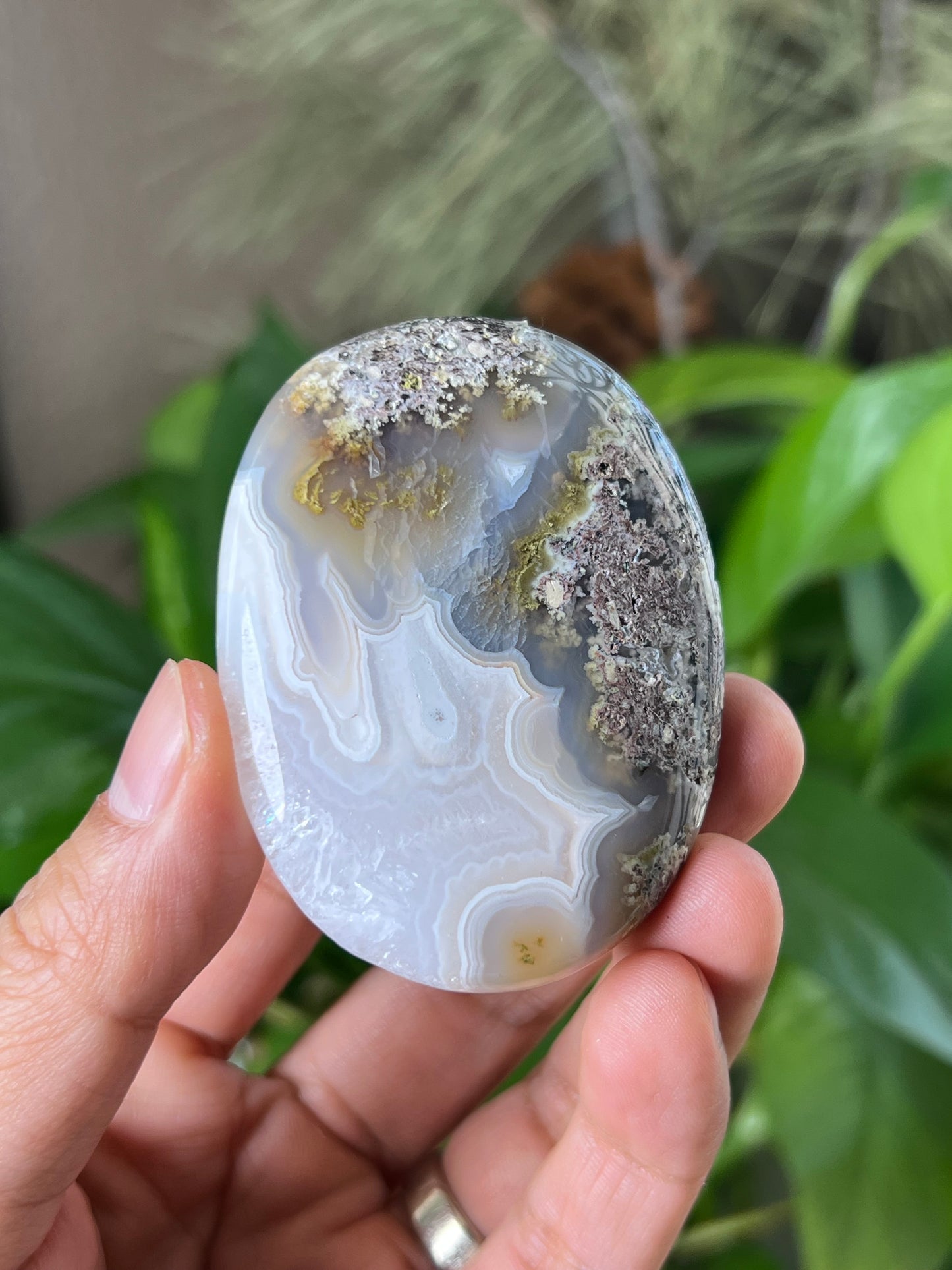 Scenic Moss Agate Palmstone