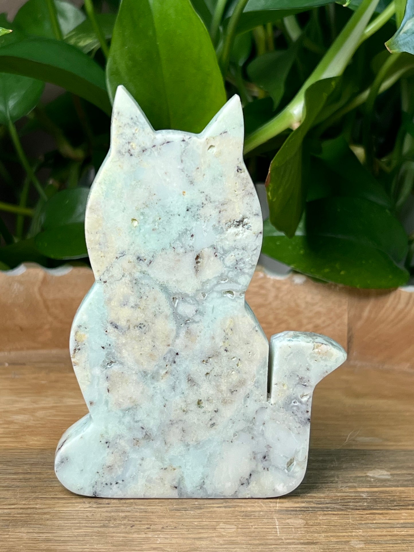 Chrysoprase Cat