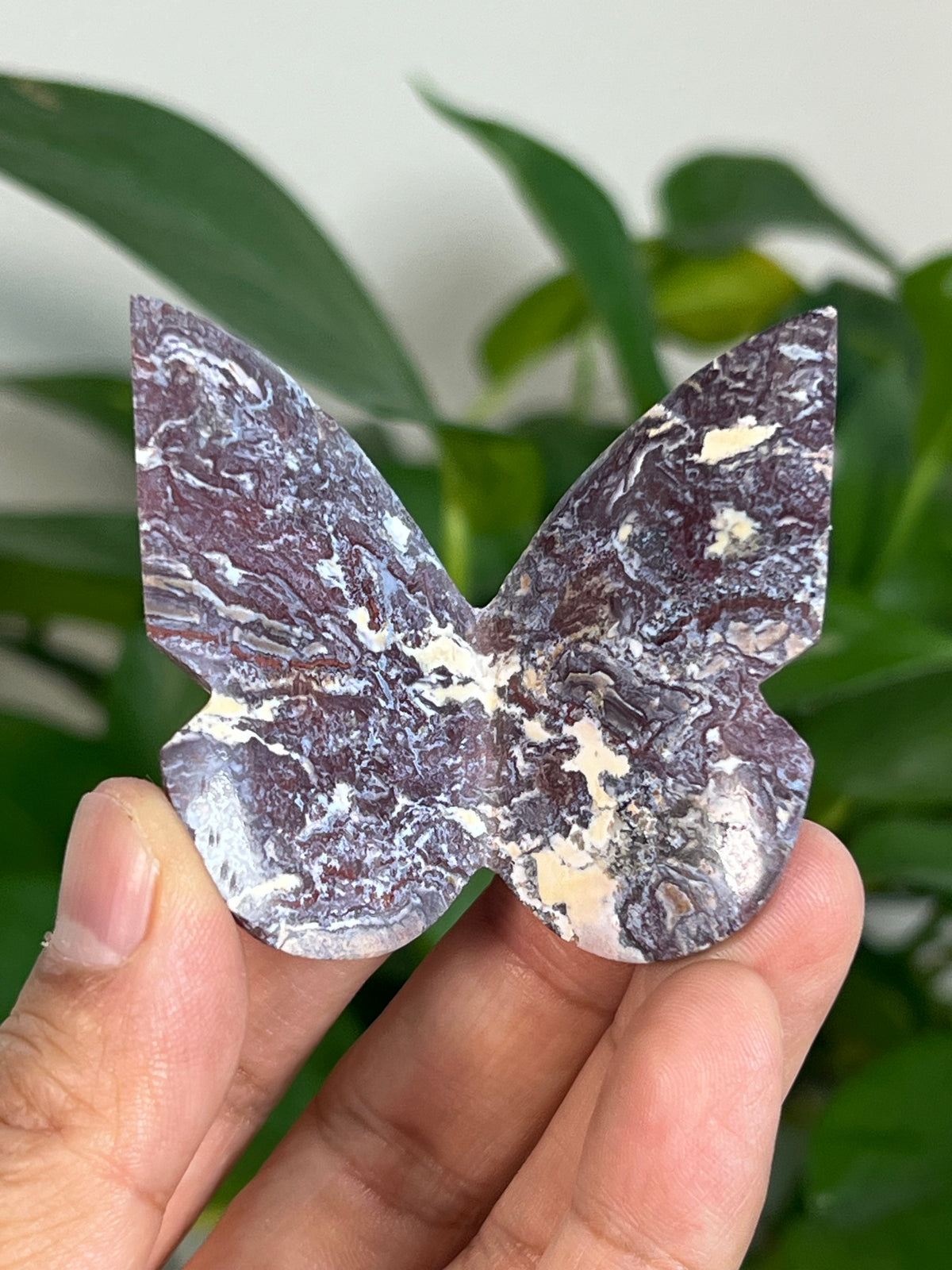 Burgundy River Jasper 3D Butterflies: Pointed Tips