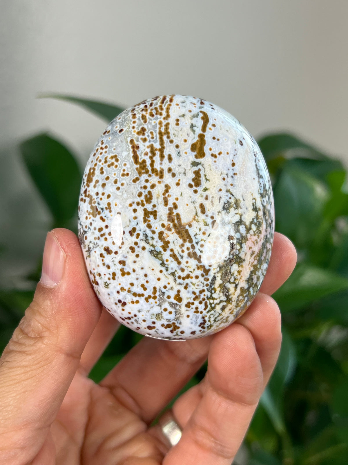 Sea Jasper Palmstones