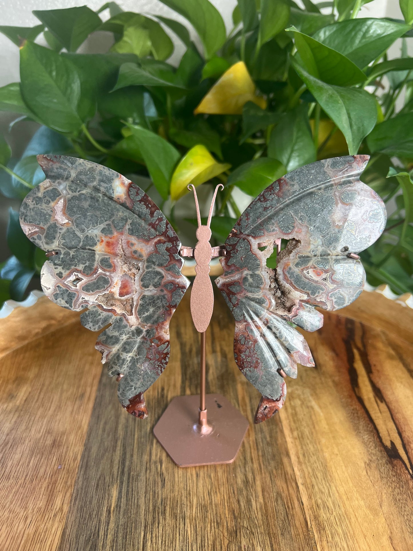 Marcasite Wings PB