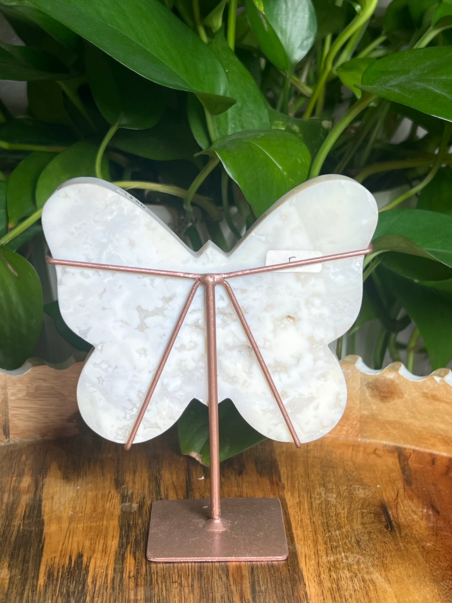 White Plume Agate Butterfly: PL
