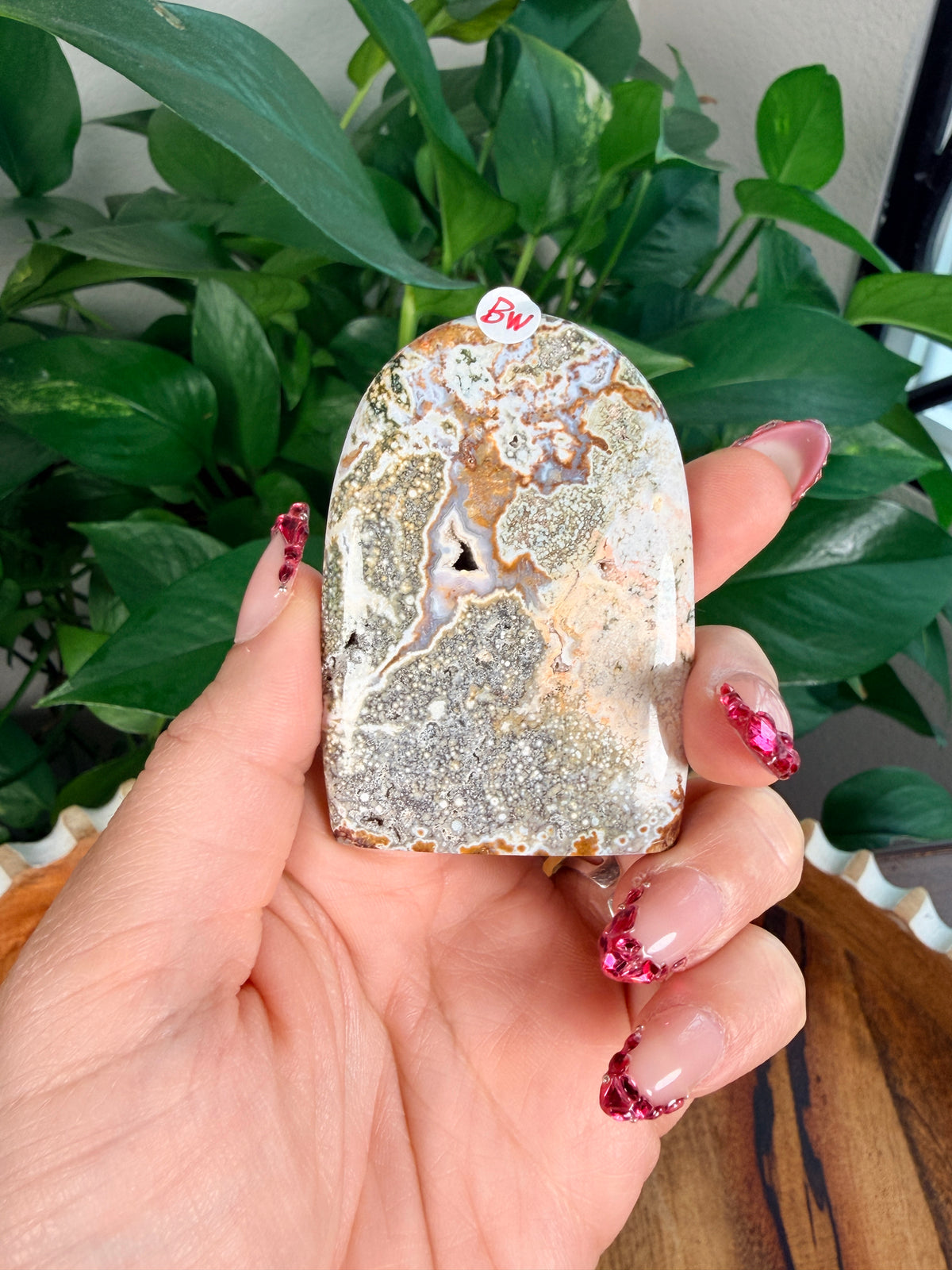Sea Jasper Mini Freeforms