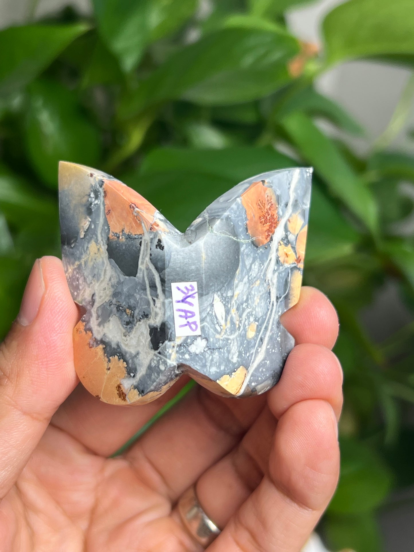 Maligano 3D Butterfly: AP