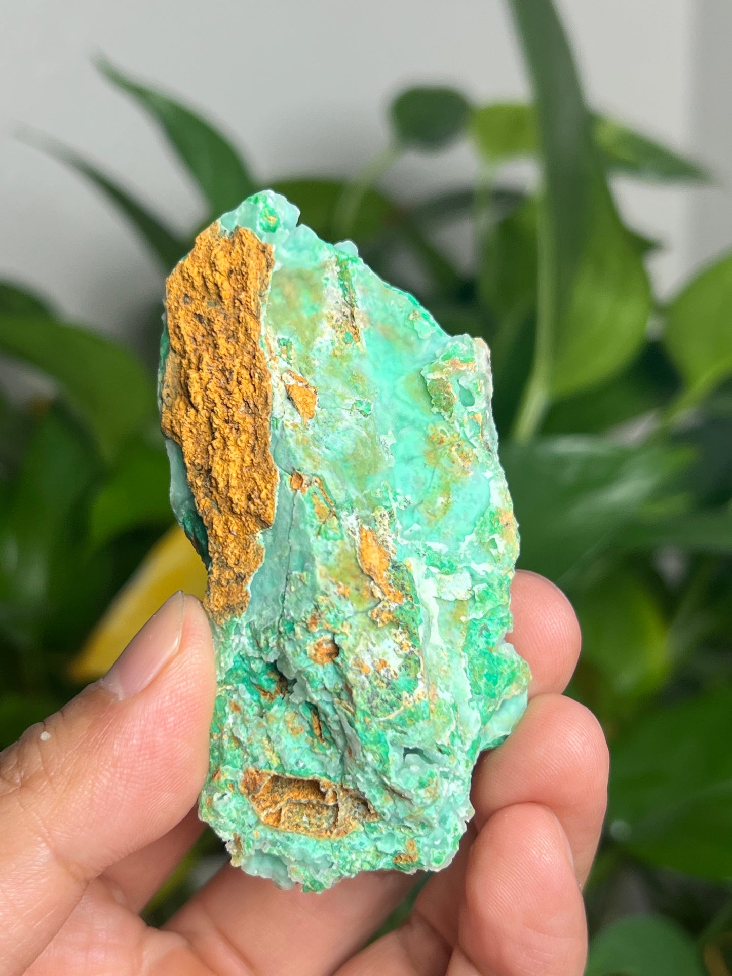 Smithsonite Specimen HU