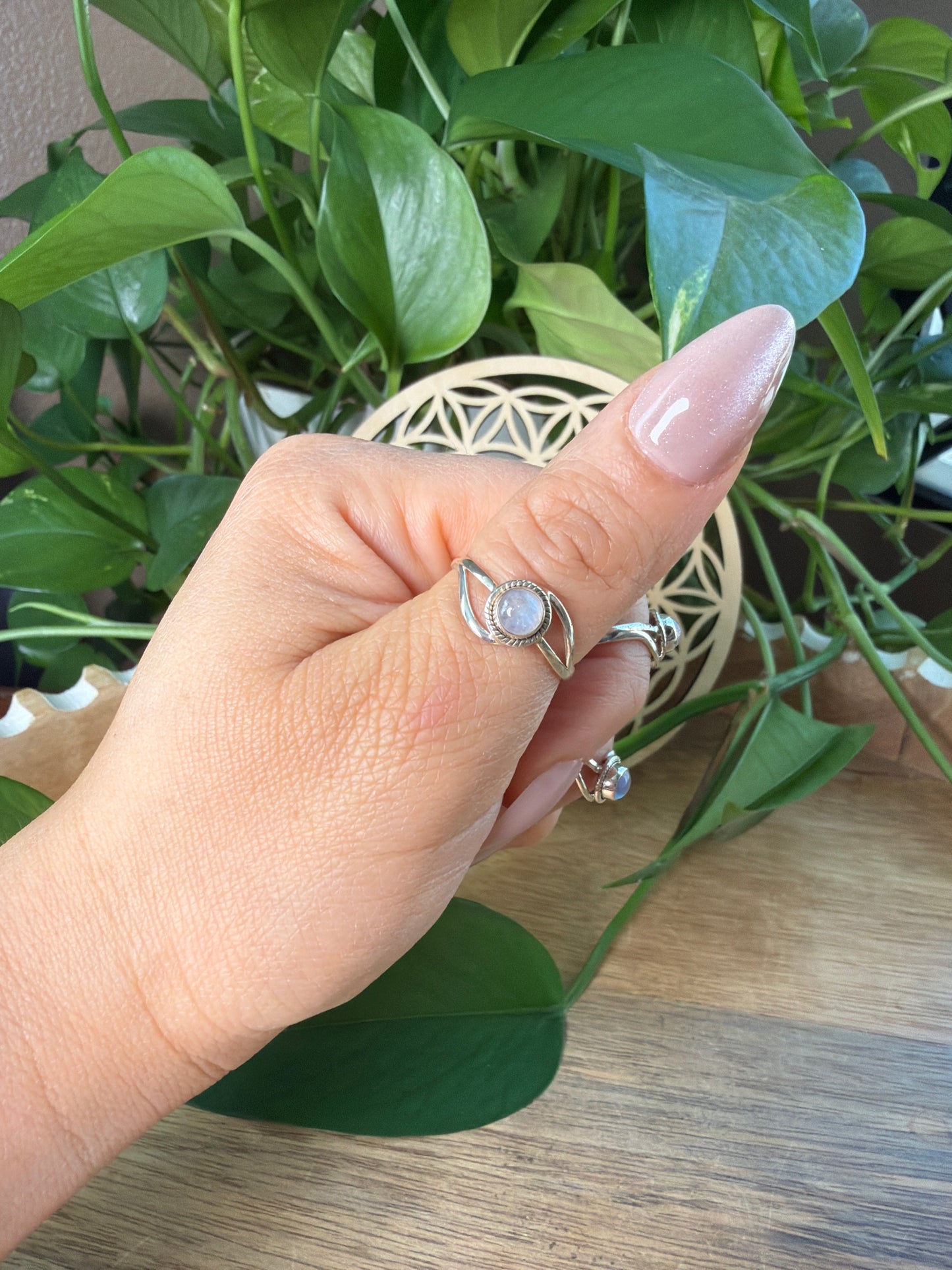 Moonstone Circle Ring
