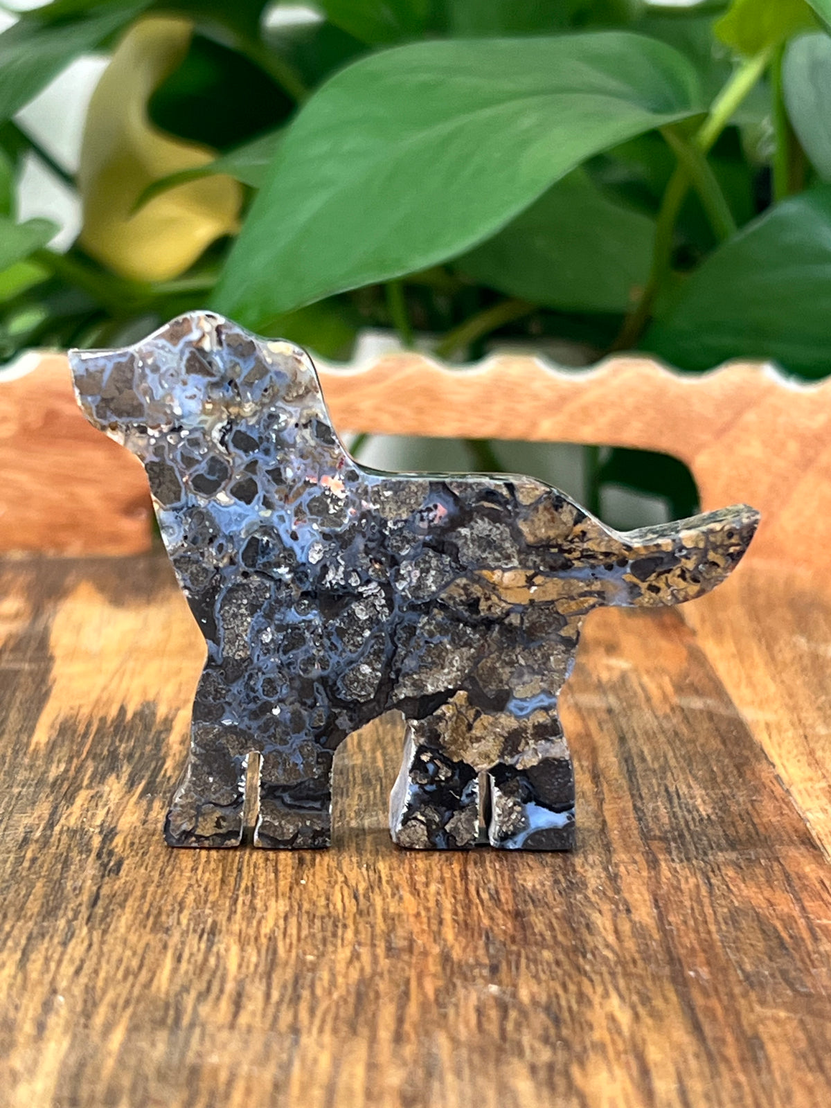 Moody Brecciated Jasper Dogs