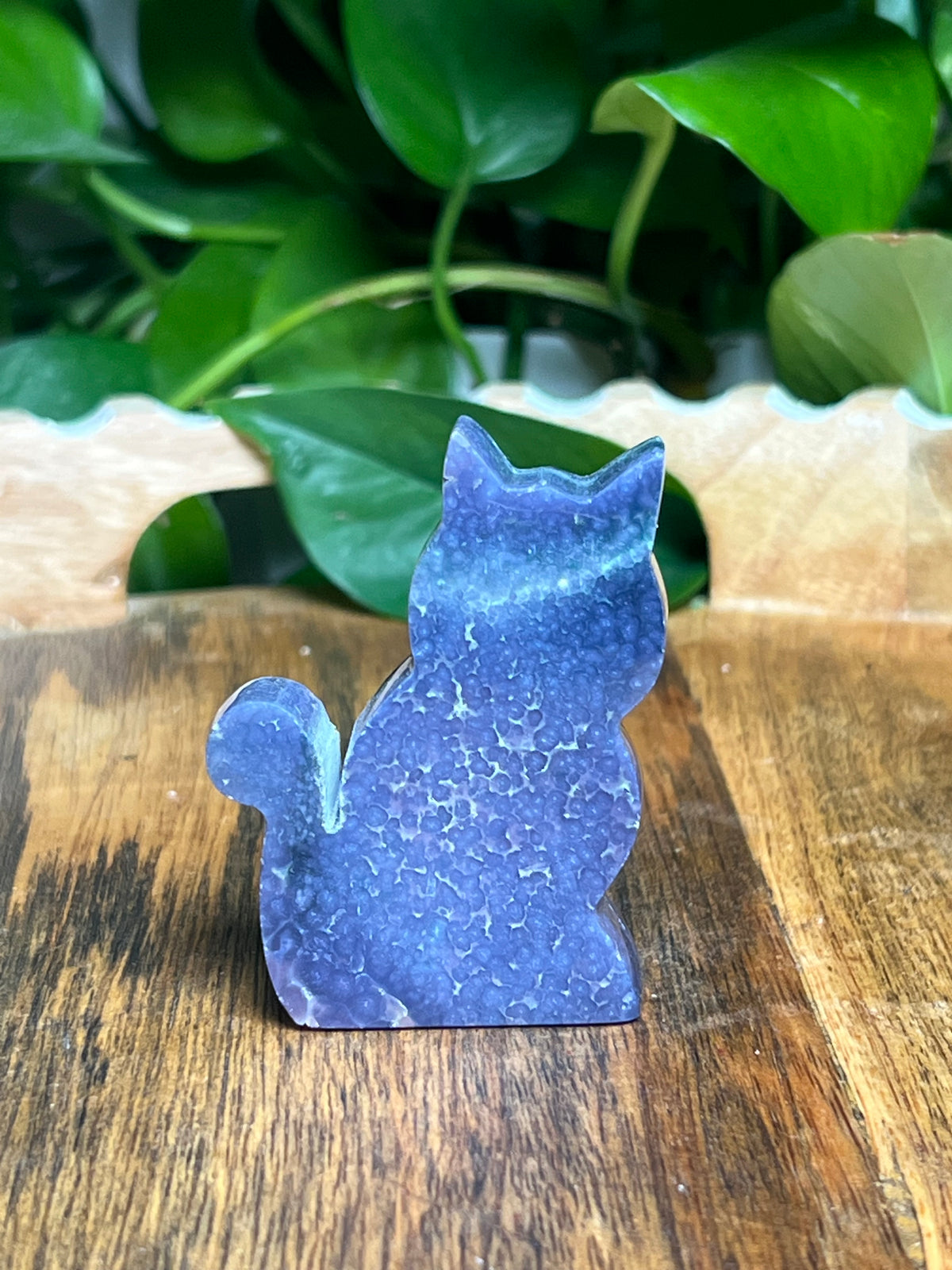 Grape Agate Mini Cat: BD