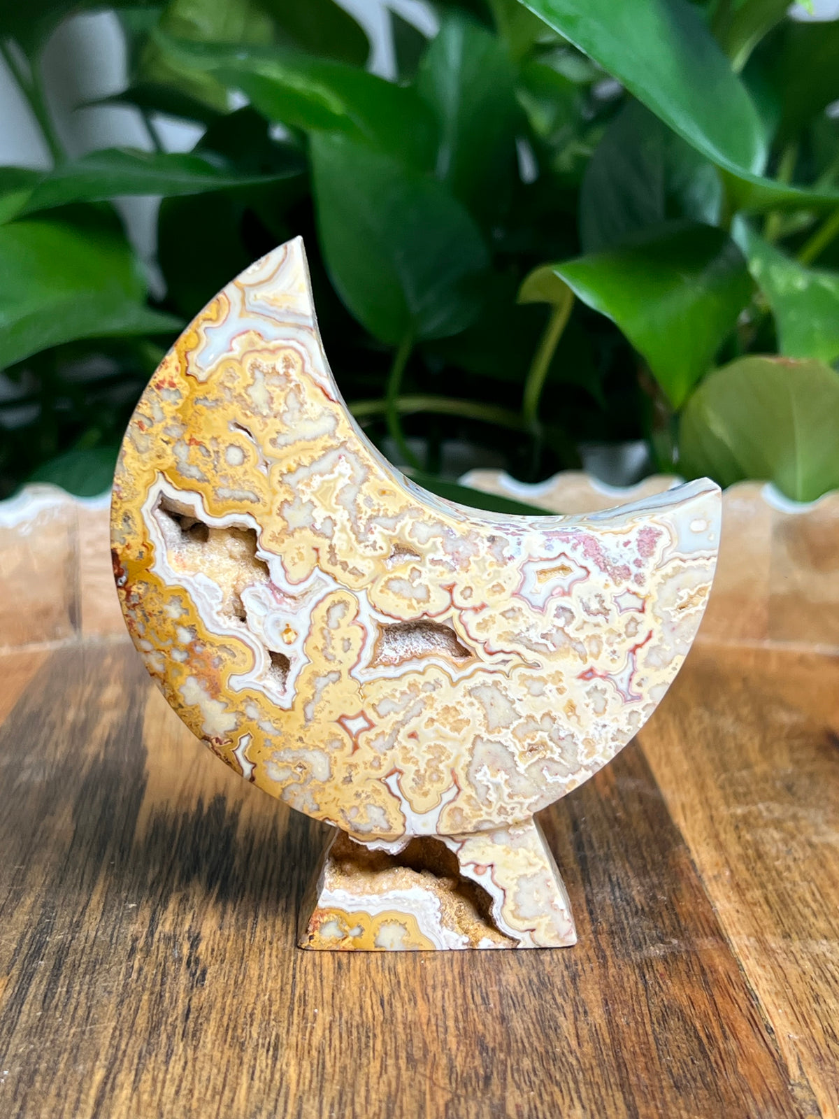 Crazy Lace Agate Self Standing Moon: Dk