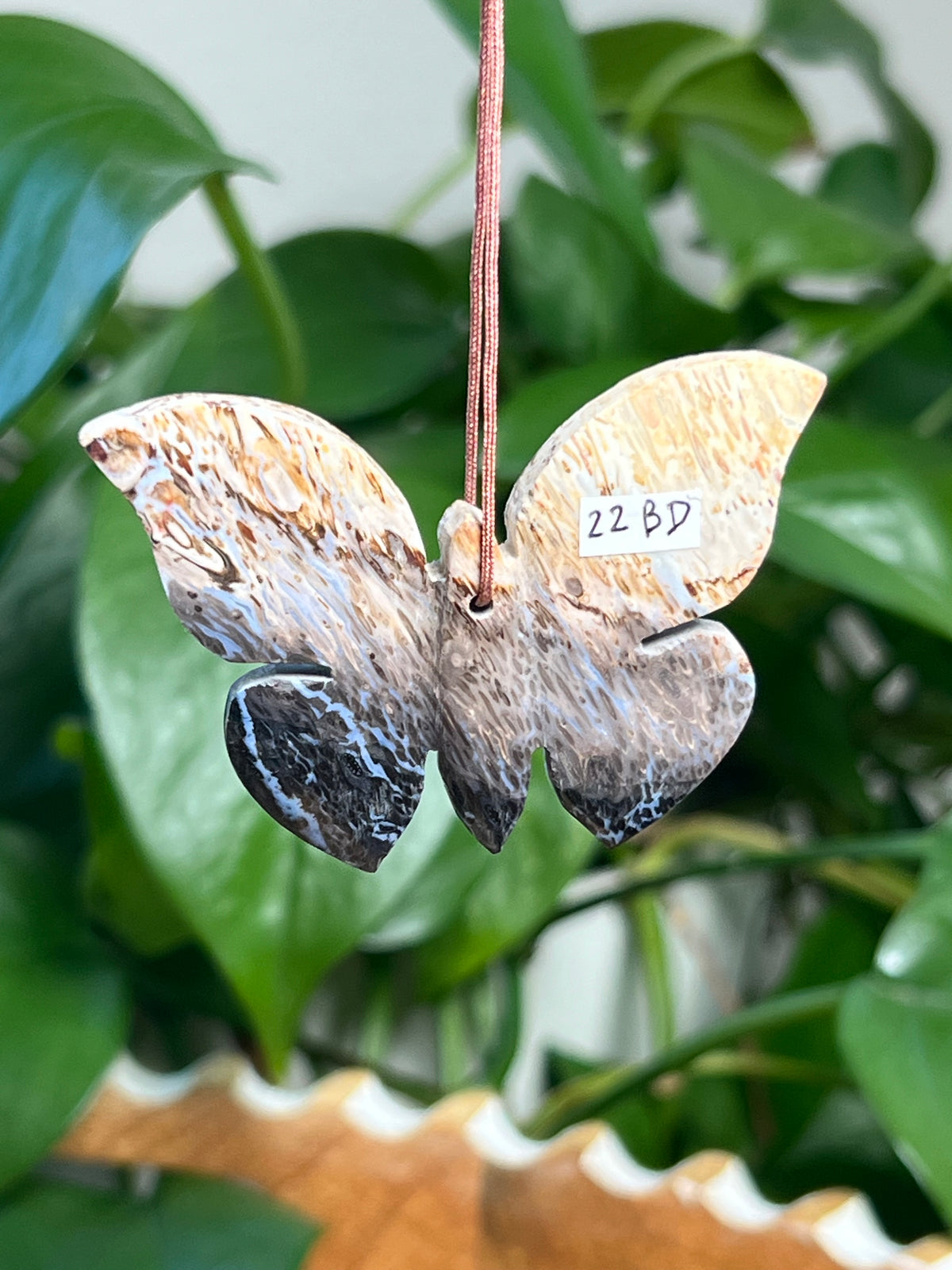 Palm Root Butterfly Ornaments