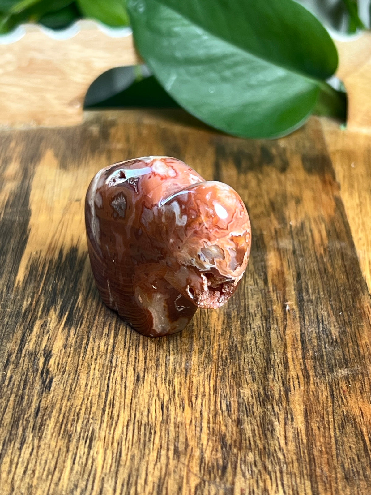 Carnelian Mini Buffalo: BE