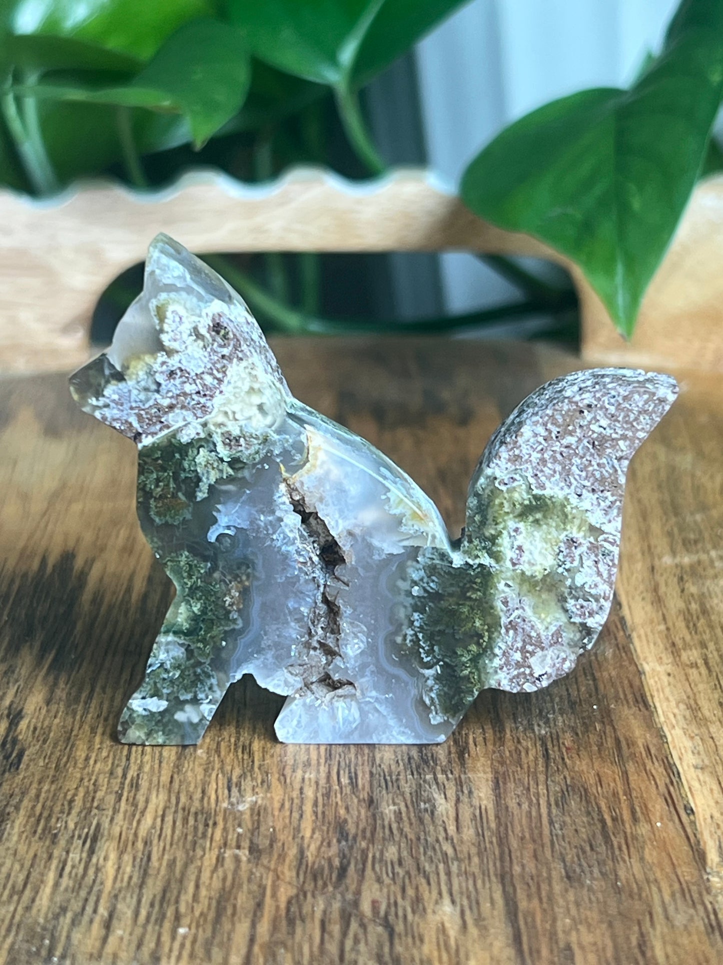 Scenic Moss Agate Fox PE