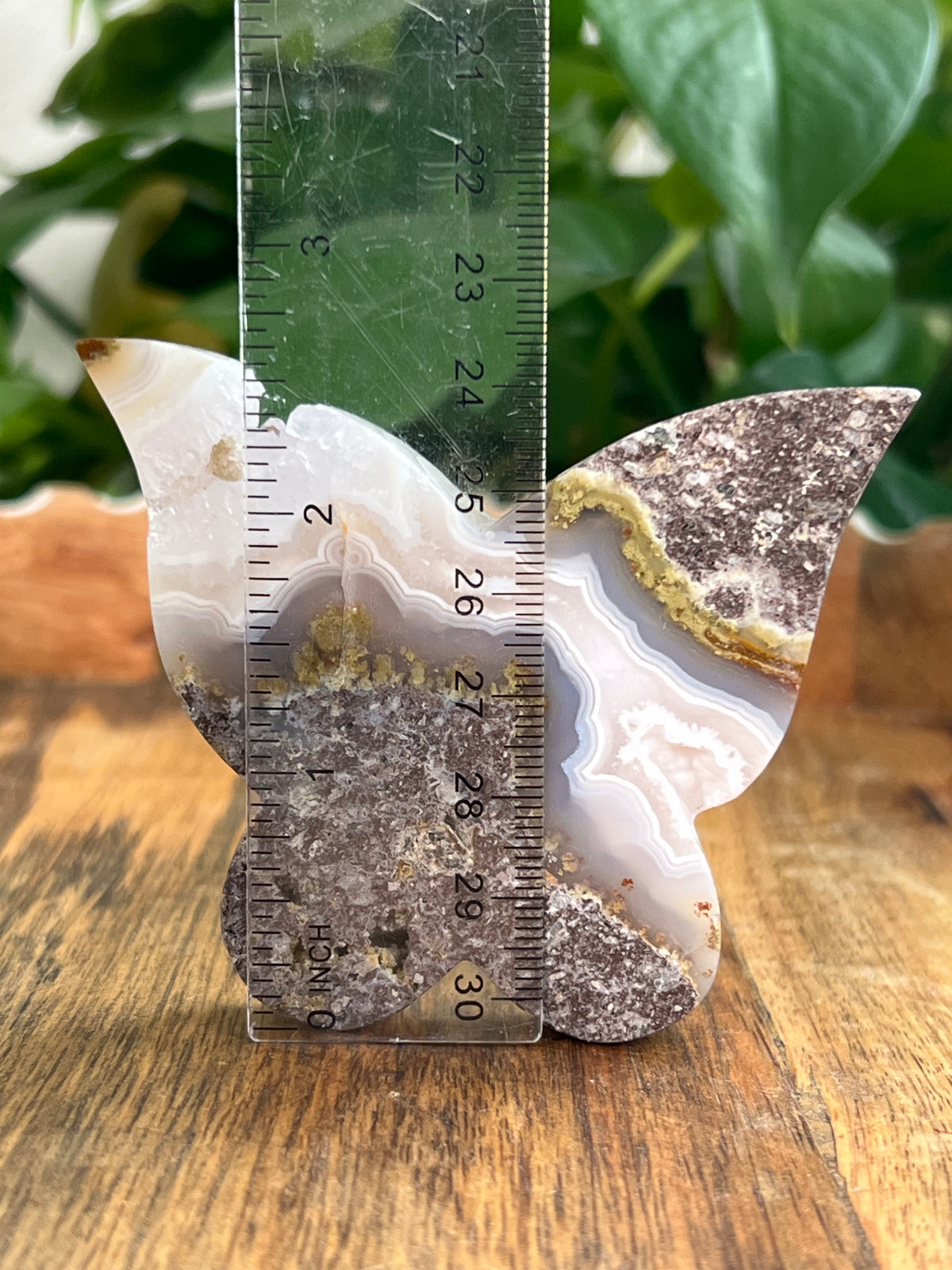 Scenic Moss Agate Butterfly: NB