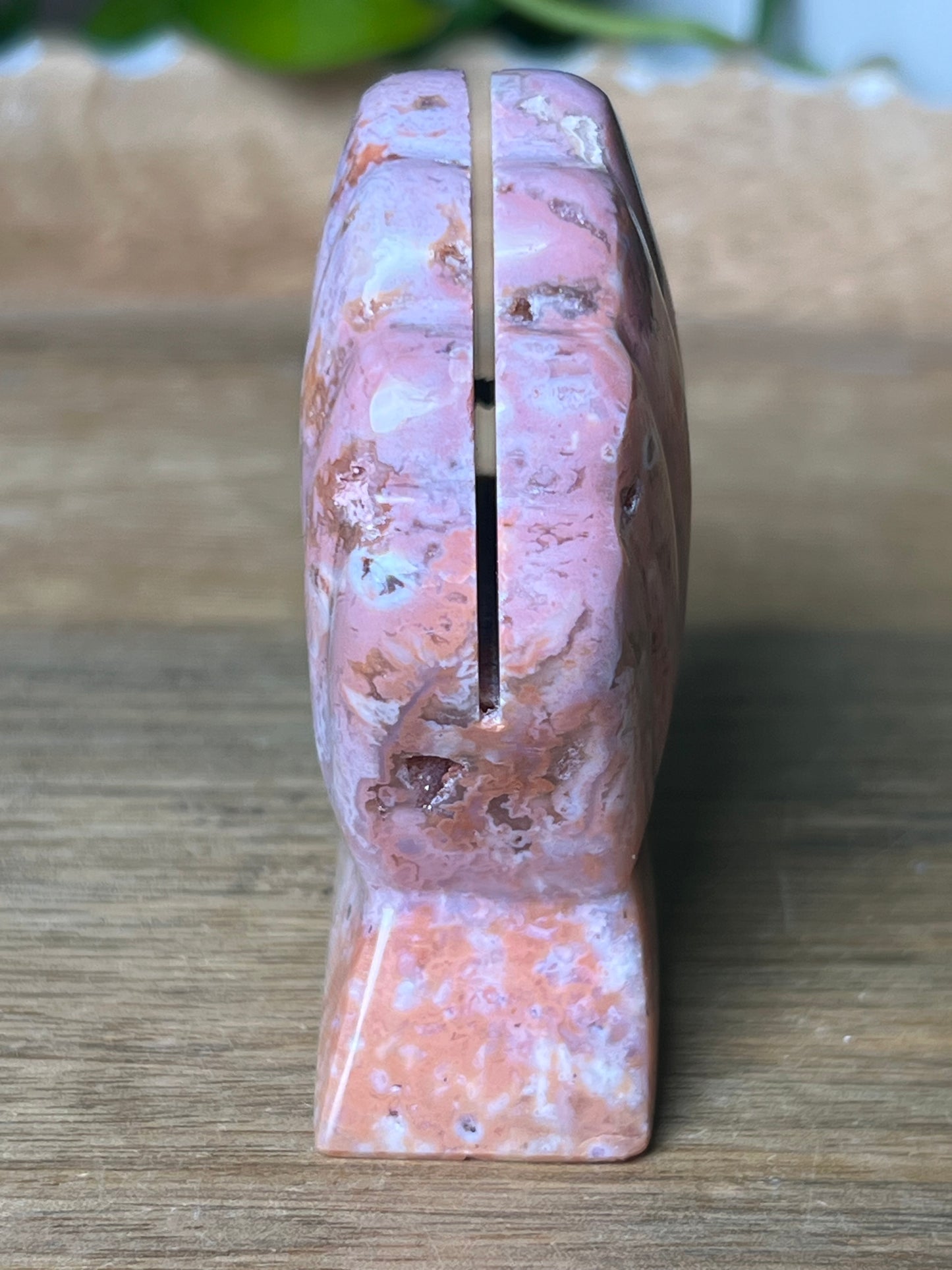 Pink Carnelian Shell