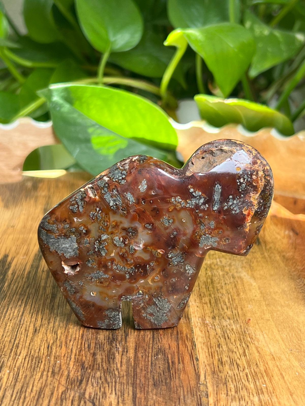 Marcasite Buffalo: CB