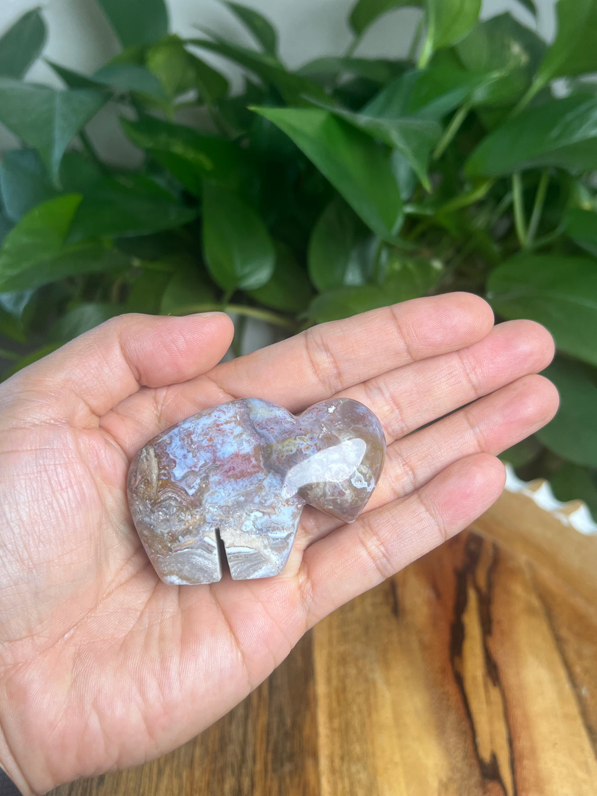 Sumatra Plume Agate Mini Buffalo: DK