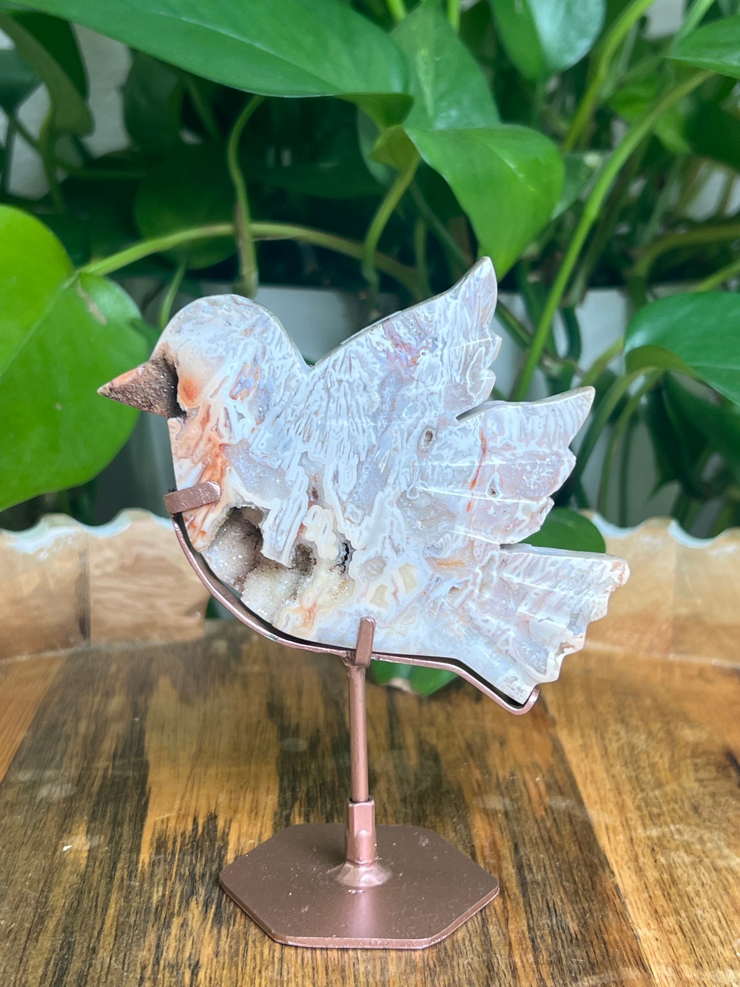 Tube Agate Bird: AC