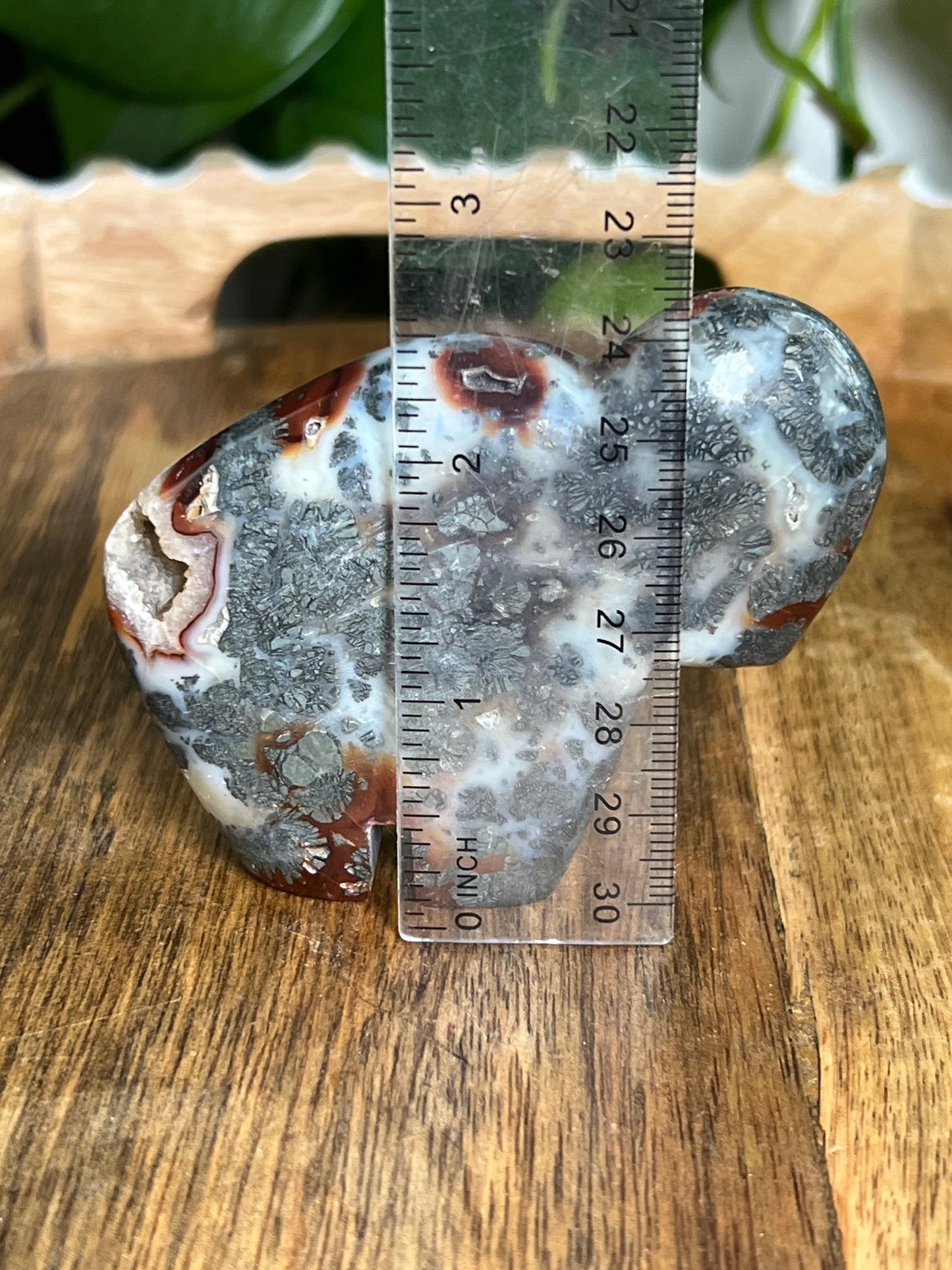 Marcasite Buffalo