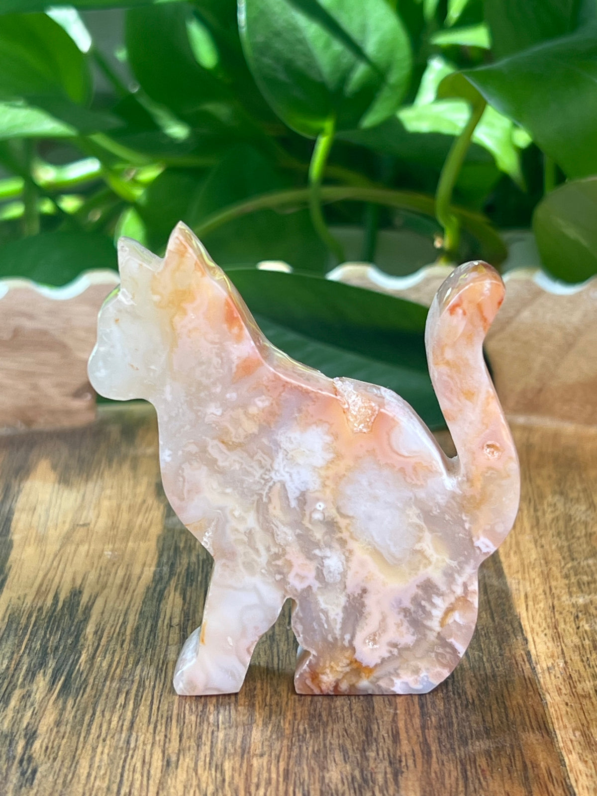 Carnelian Cat: PG