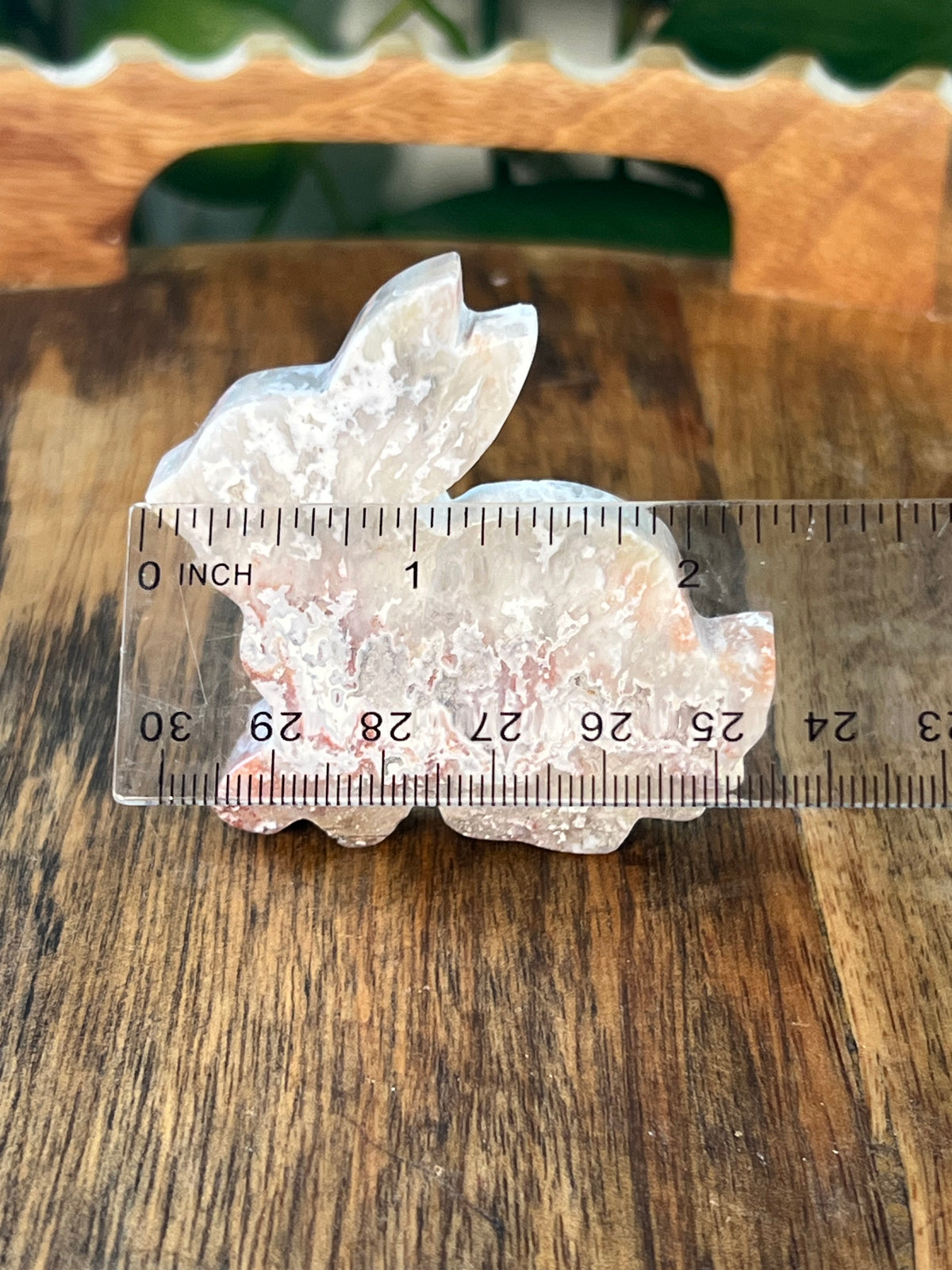 Sumatra Plume Agate Bunnies