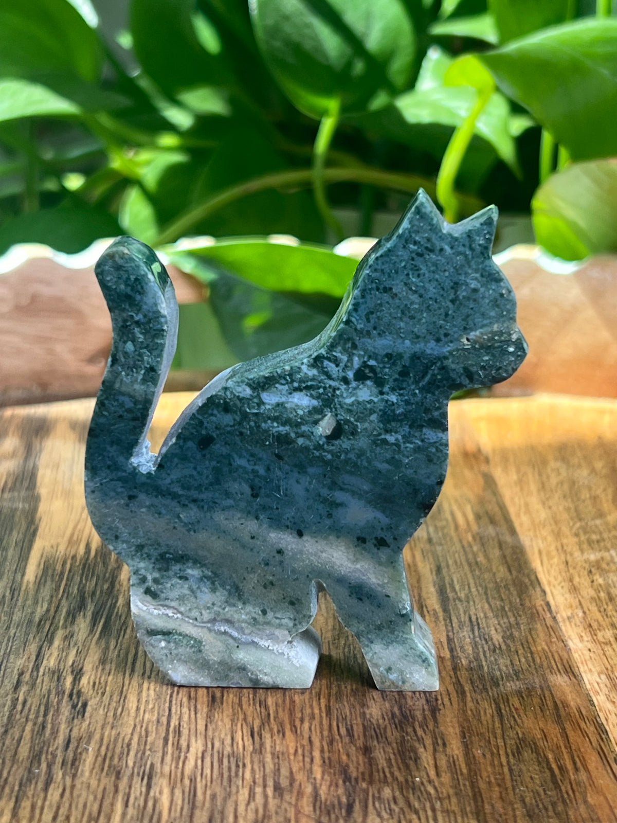 Blue Green Jasper Cat: CE