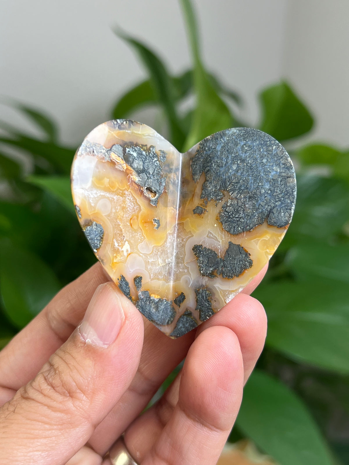 Marcasite 3D Butterfly Heart: TB