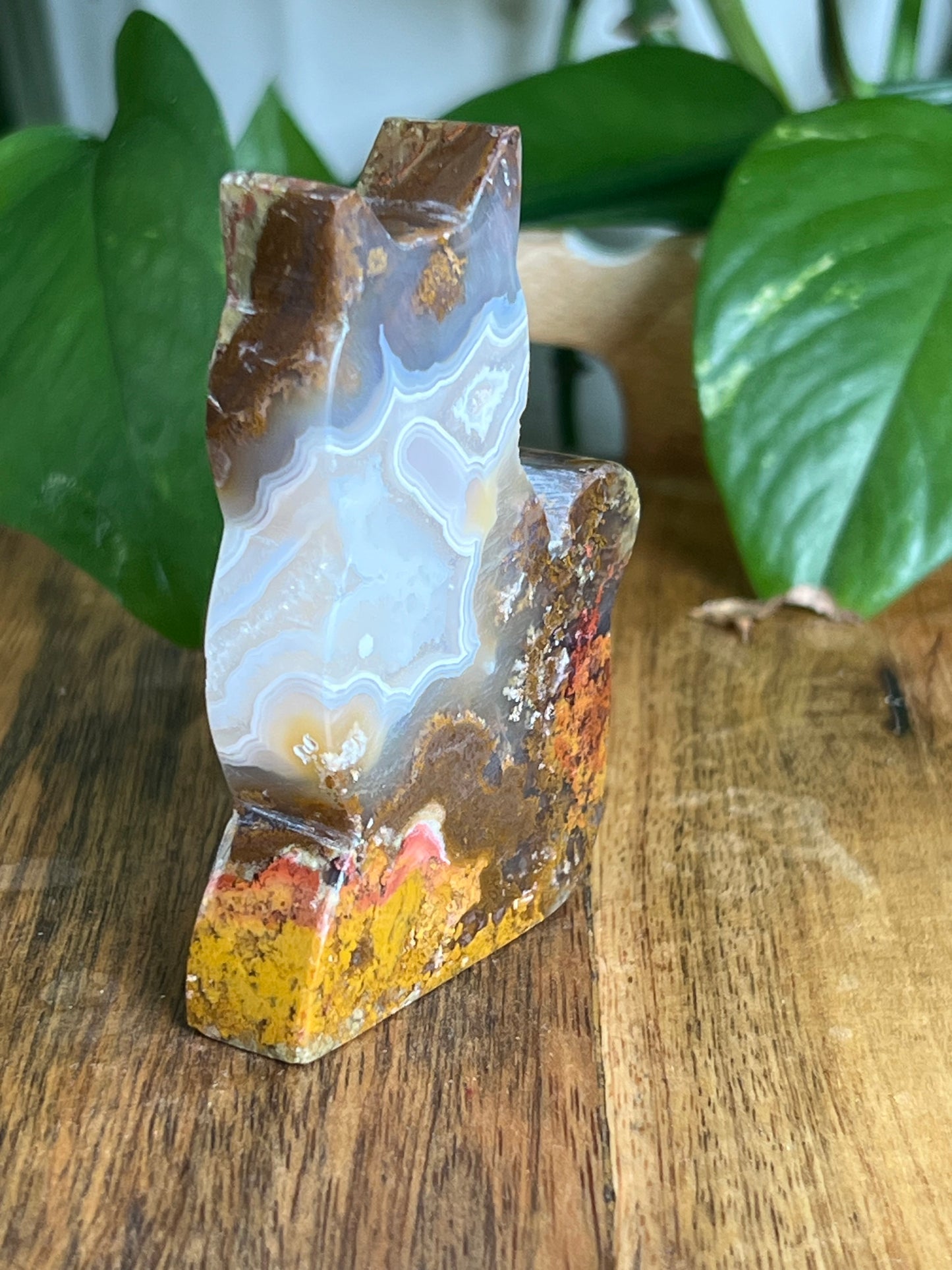 Scenic Moss Agate Cat HY