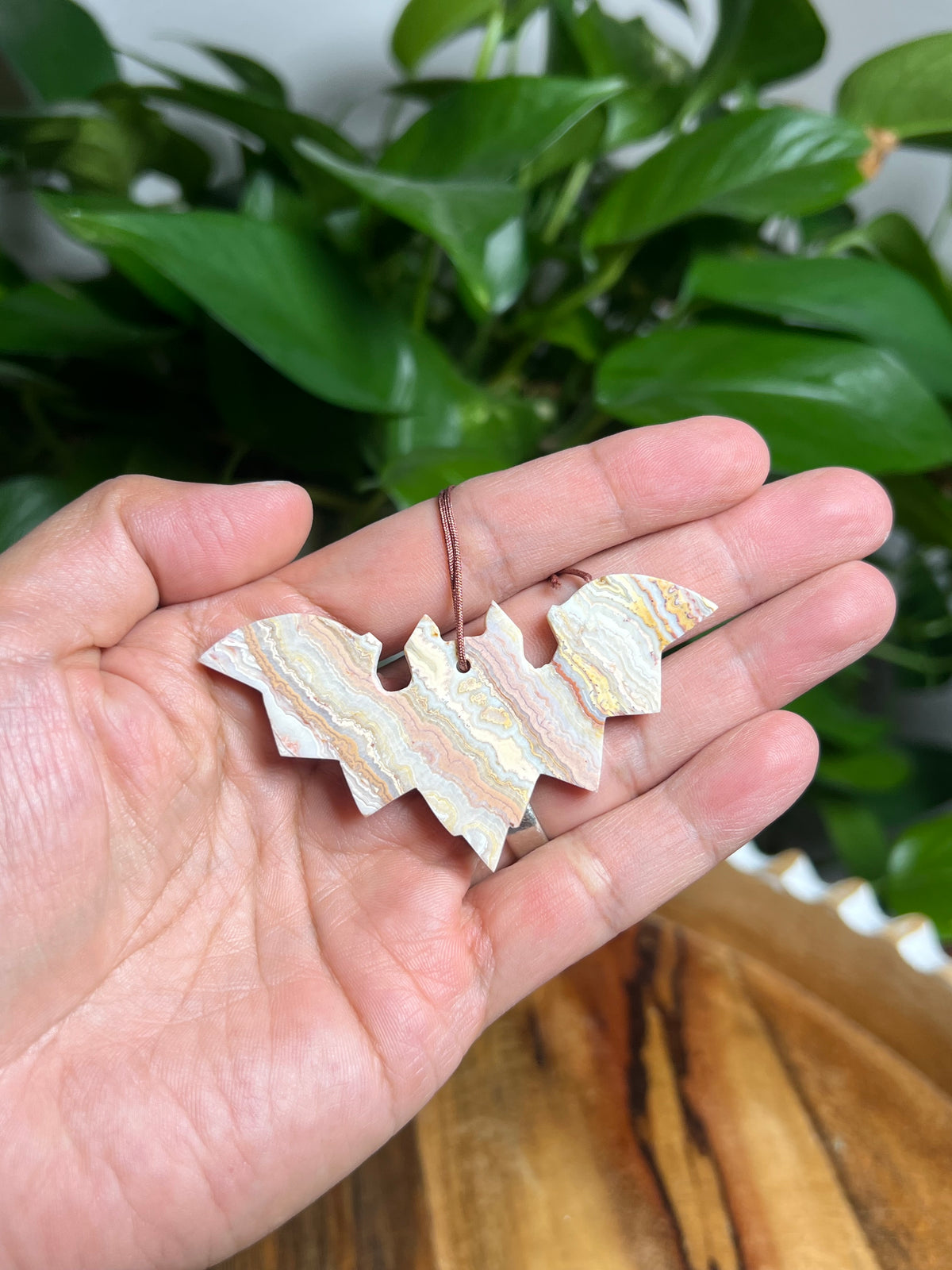 Crazy Lace Agate Ornament Bat: X