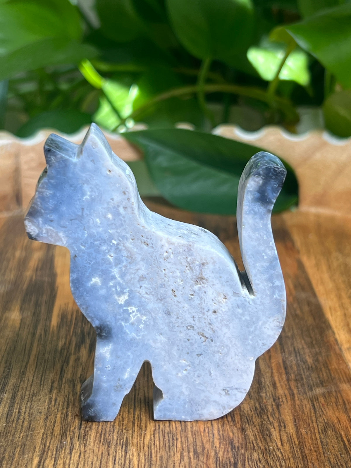 Blue Plume Agate Cat: AB