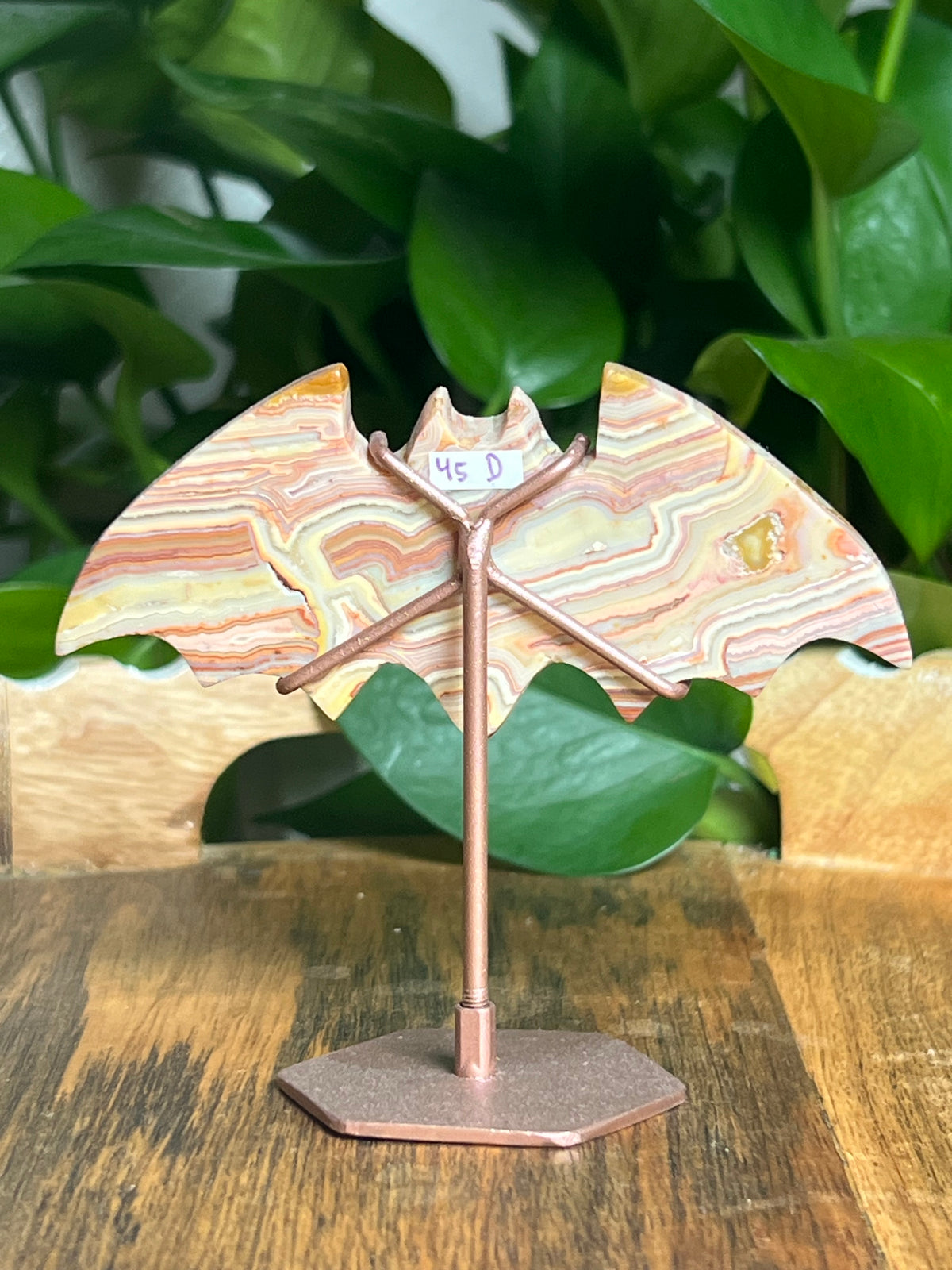 Crazy Lace Agate Bat: D