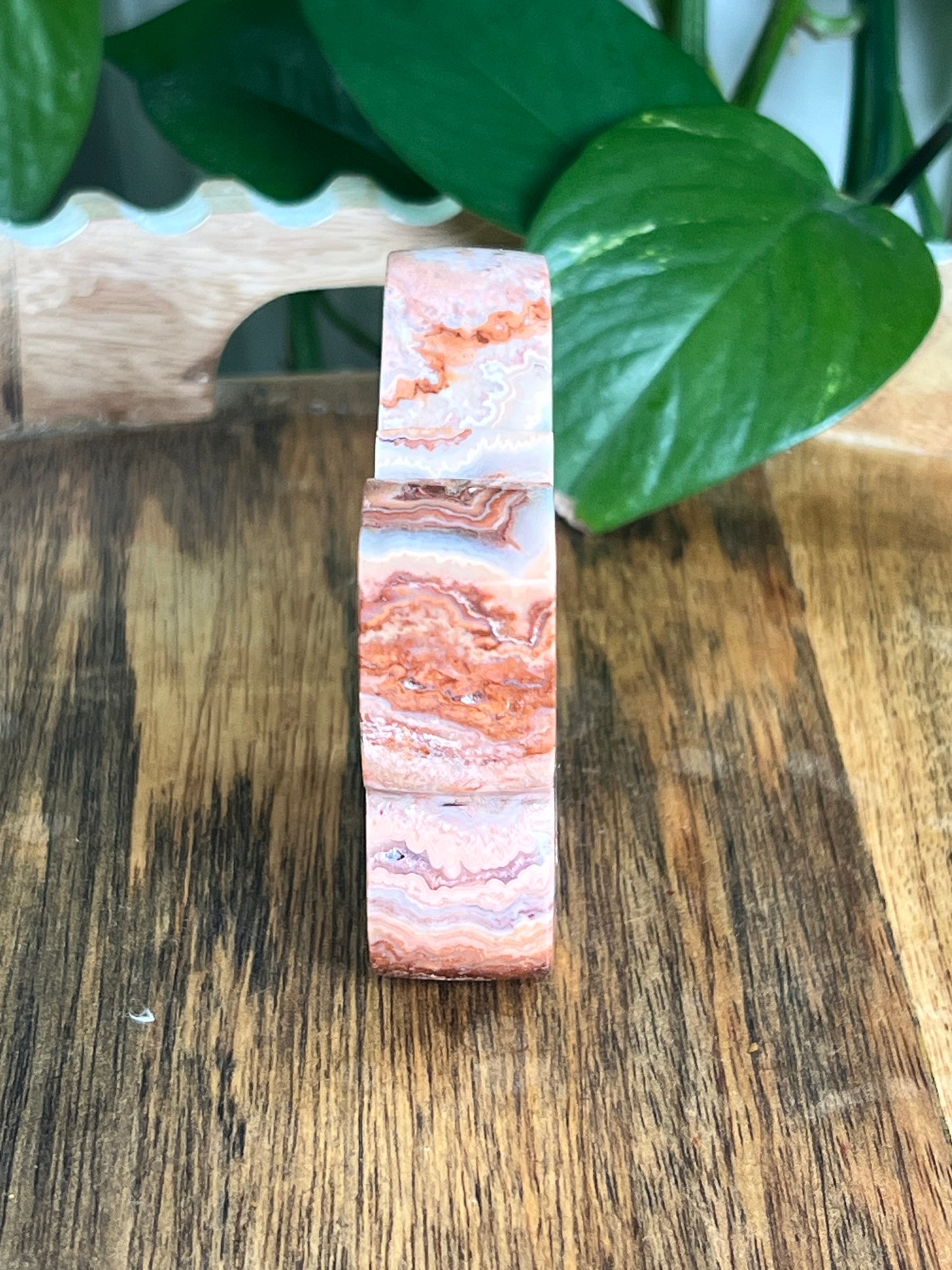 Crazy Lace Agate Butterfly: E