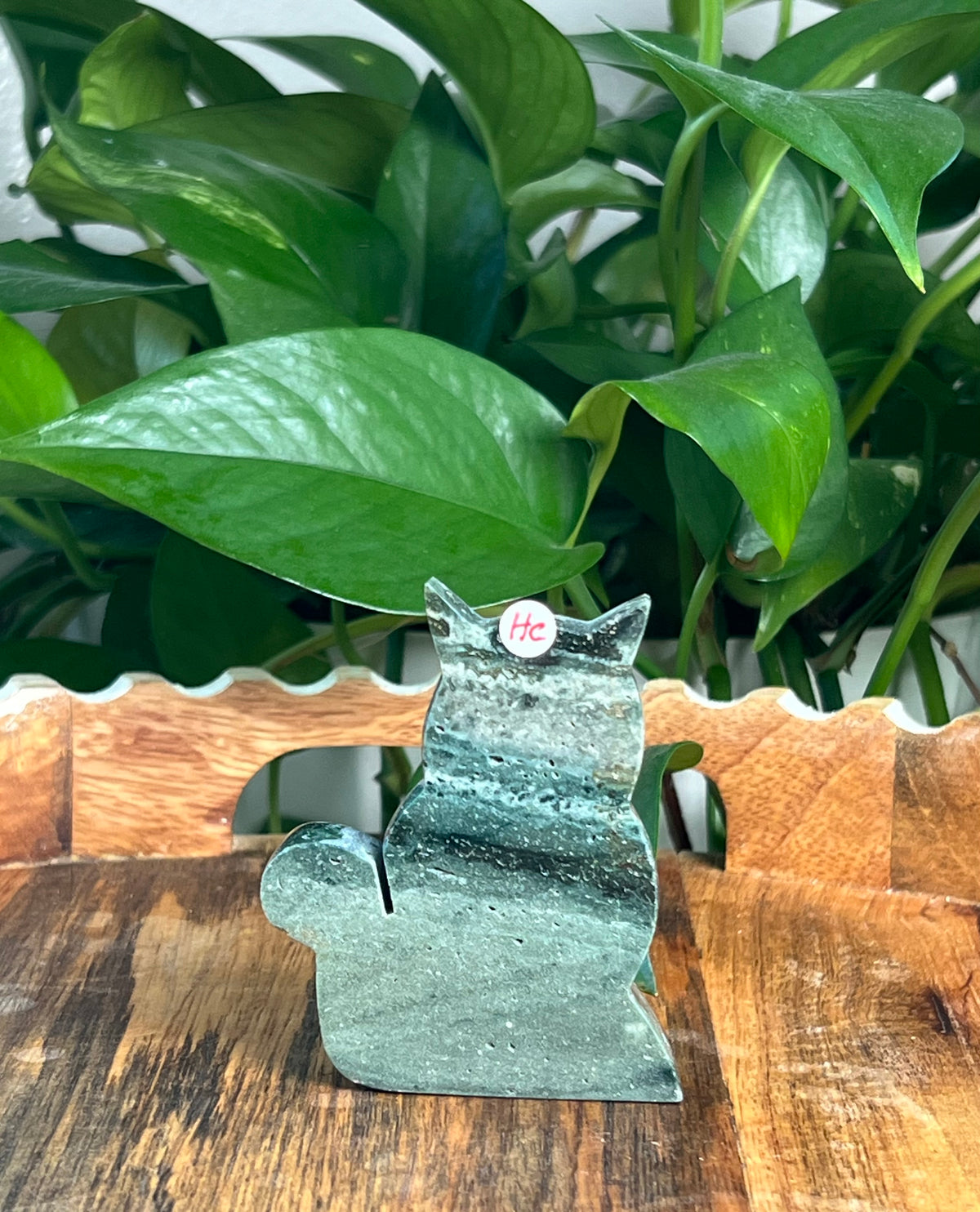Blue Green Jasper Cats