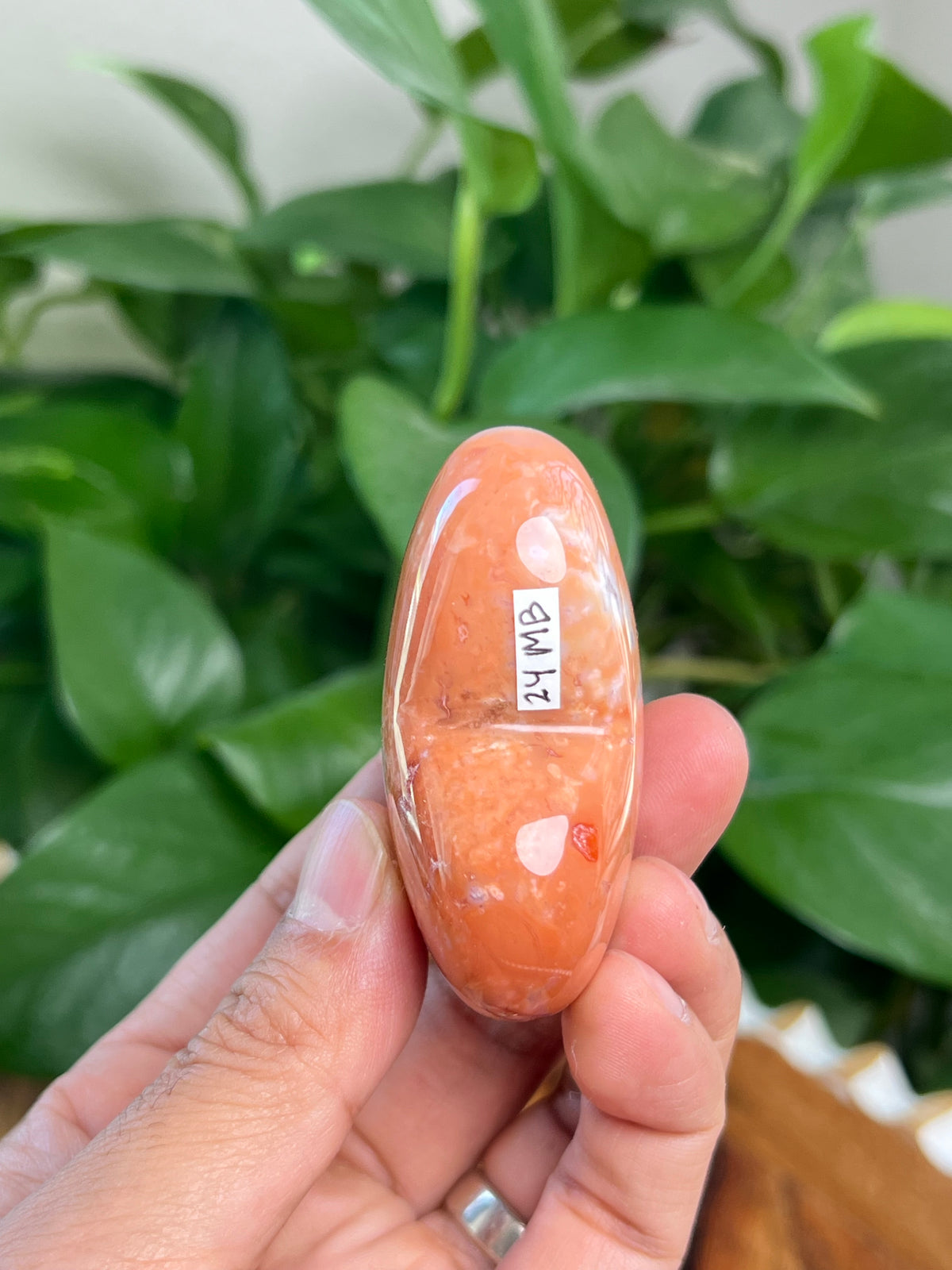 Carnelian Heart: MB