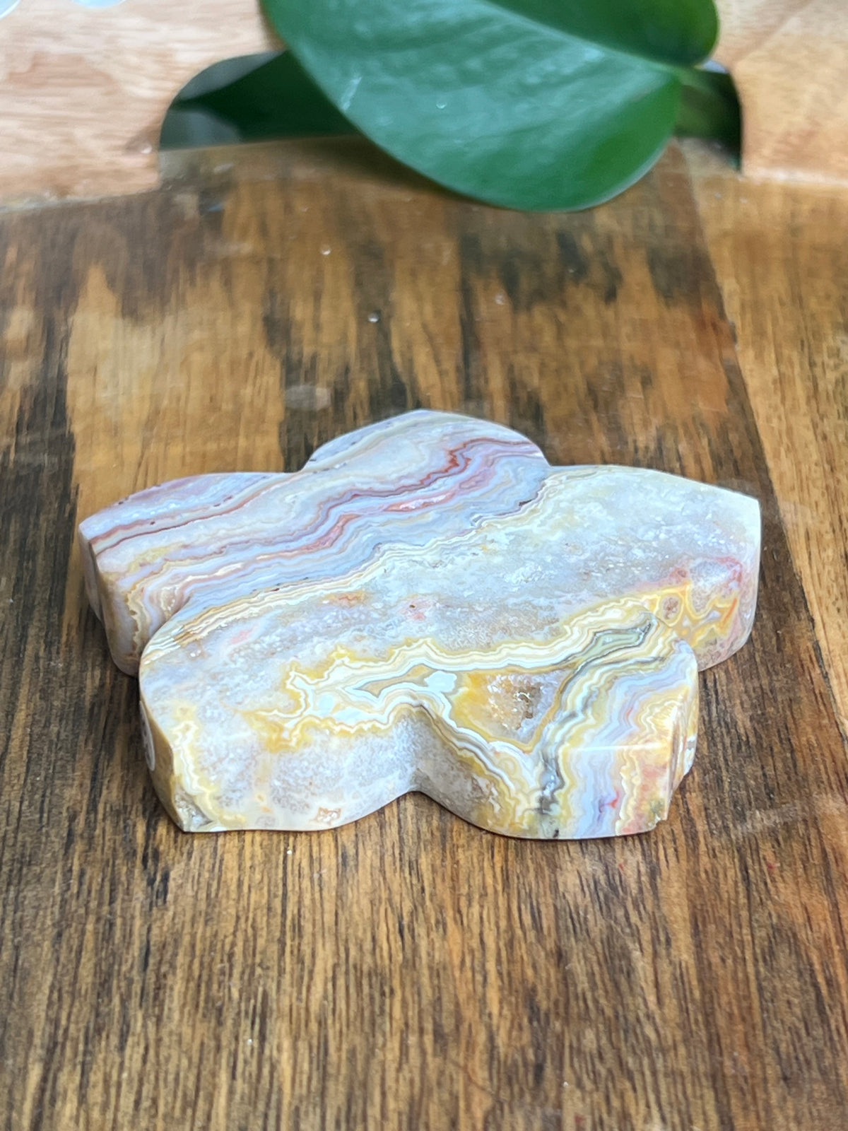 Crazy Lace Agate Flower: CA