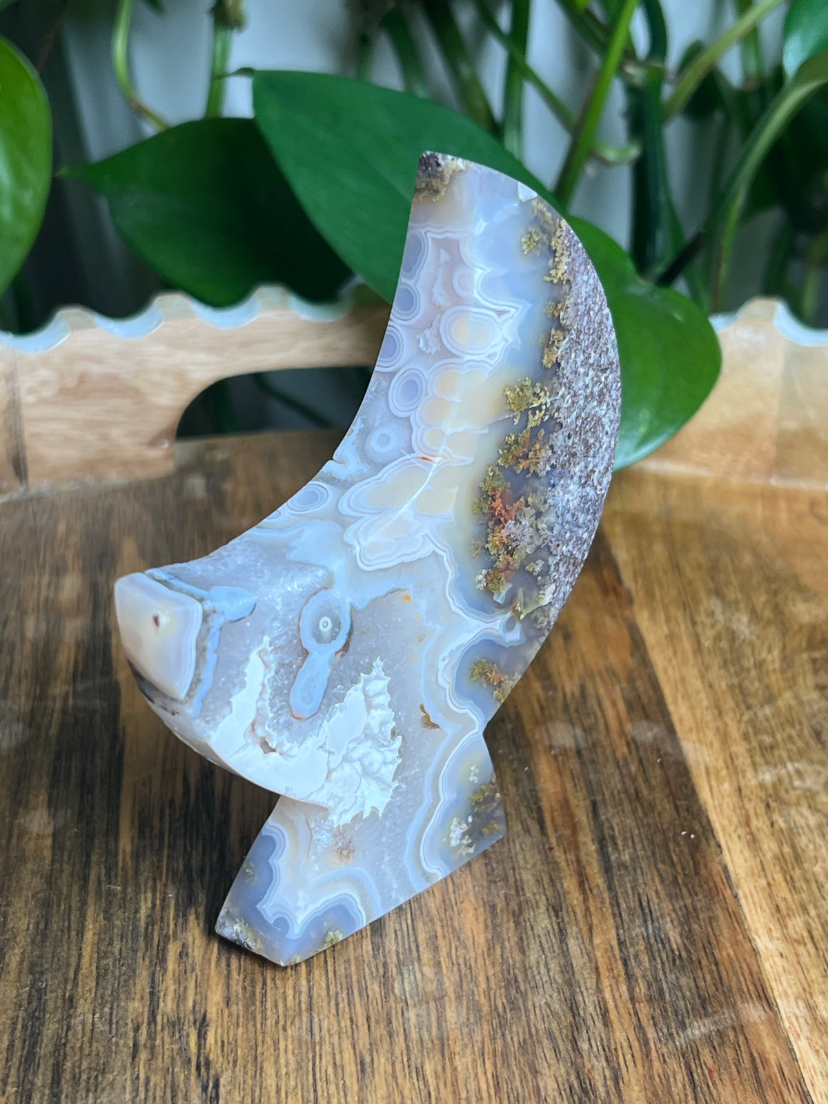 Scenic Moss Agate Self-Standing Moon: PZ