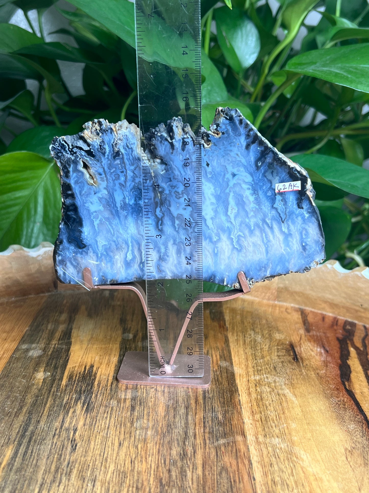 Blue Plume Agate Slab: AK