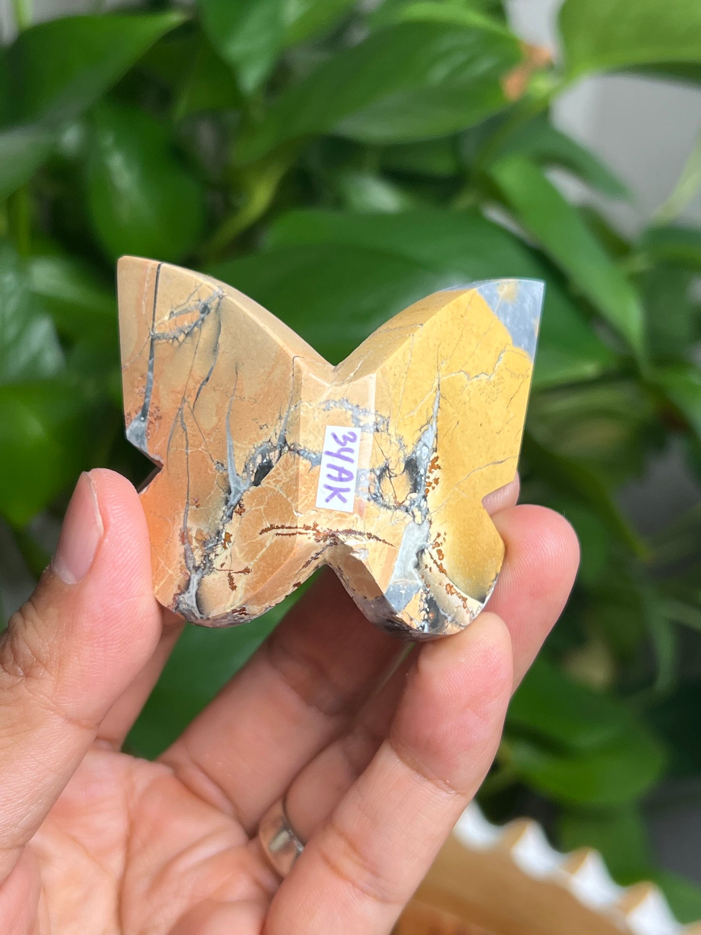 Maligano 3D Butterfly: AK