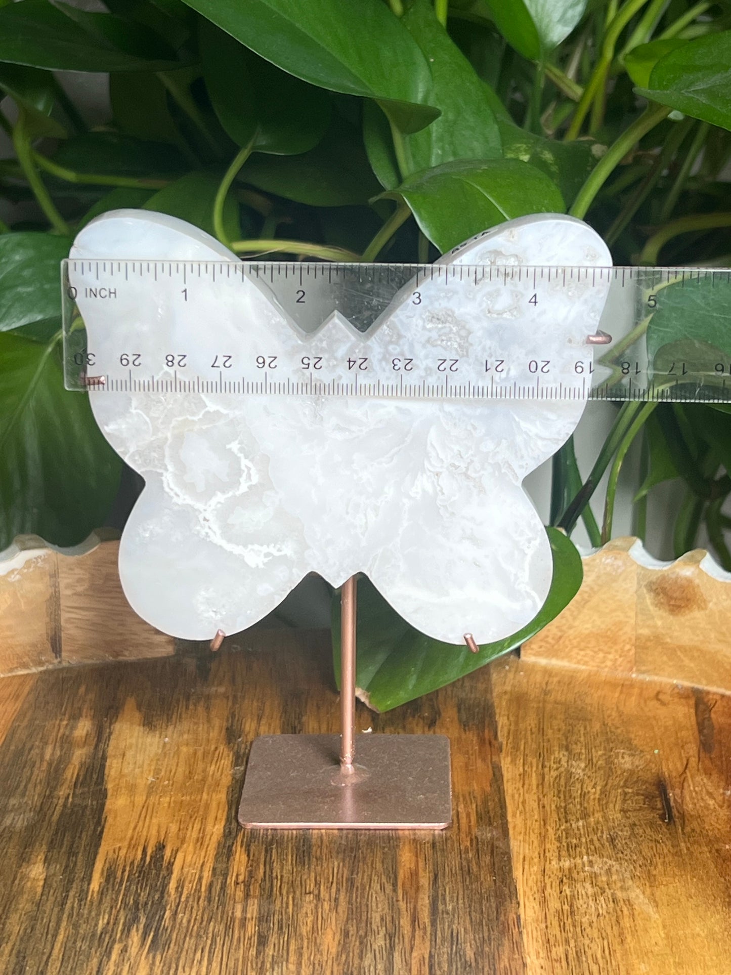 White Plume Agate Butterfly: TA