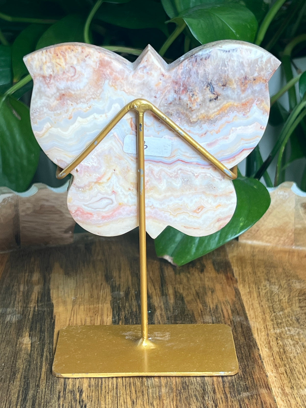 Crazy Lace Agate Butterfly: PC