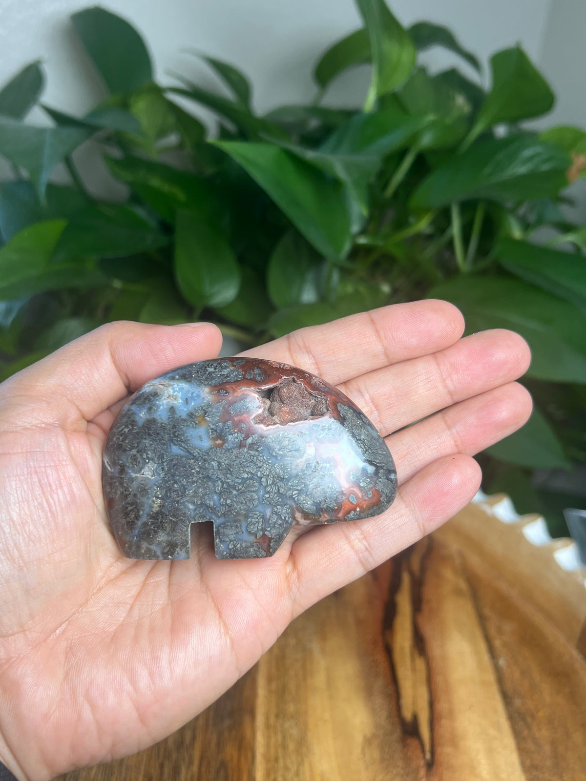 Marcasite Bear: TG