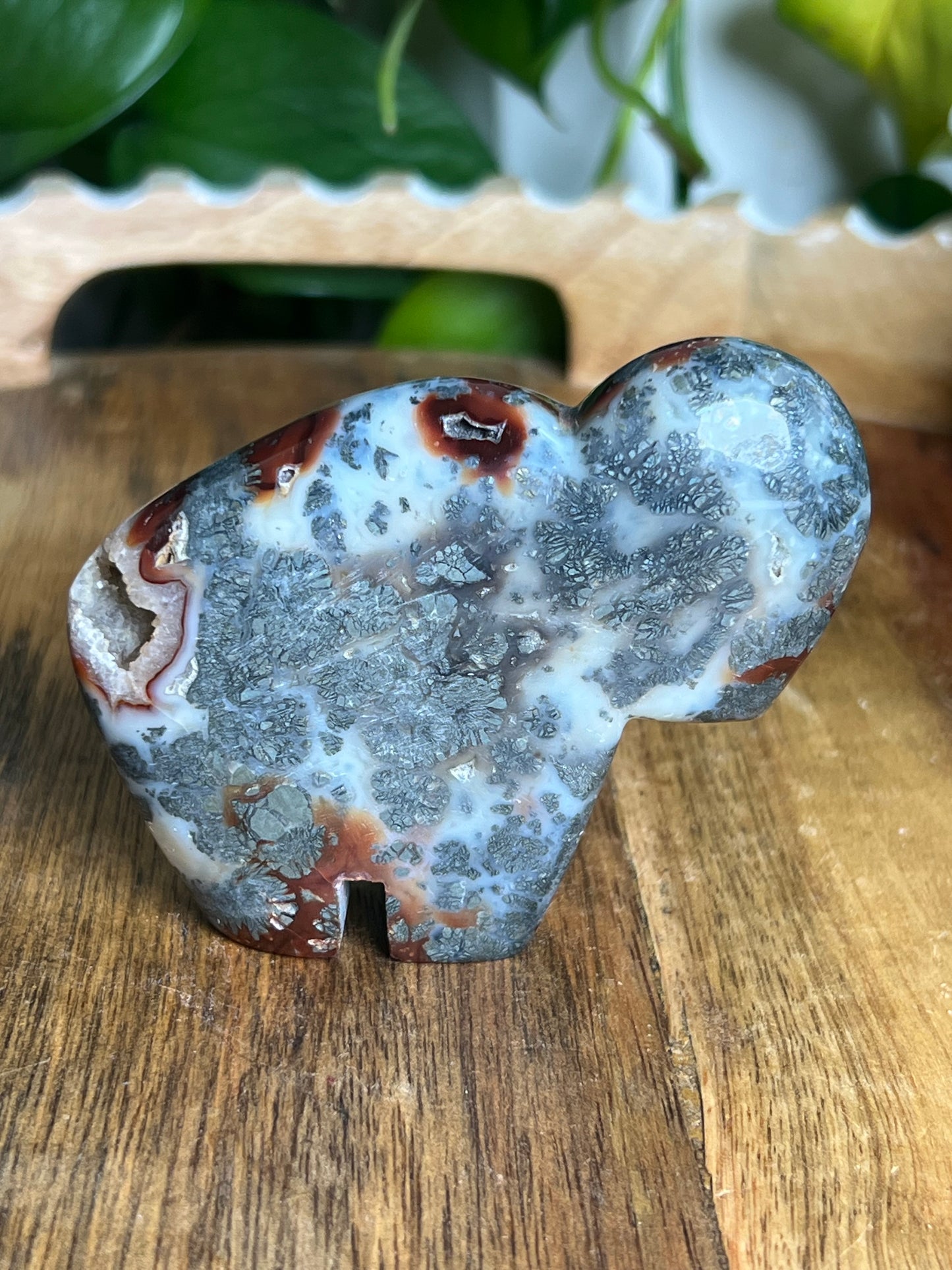 Marcasite Buffalo