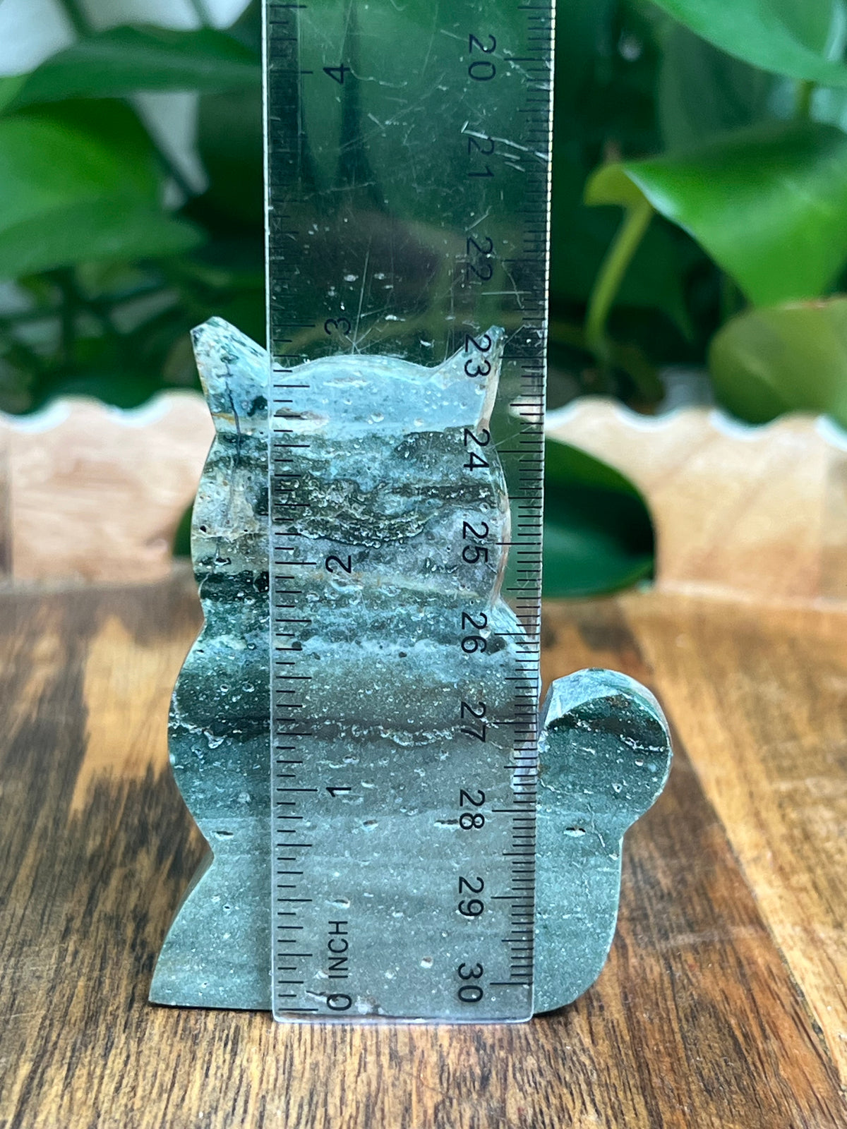 Blue Green Jasper Cat: HF