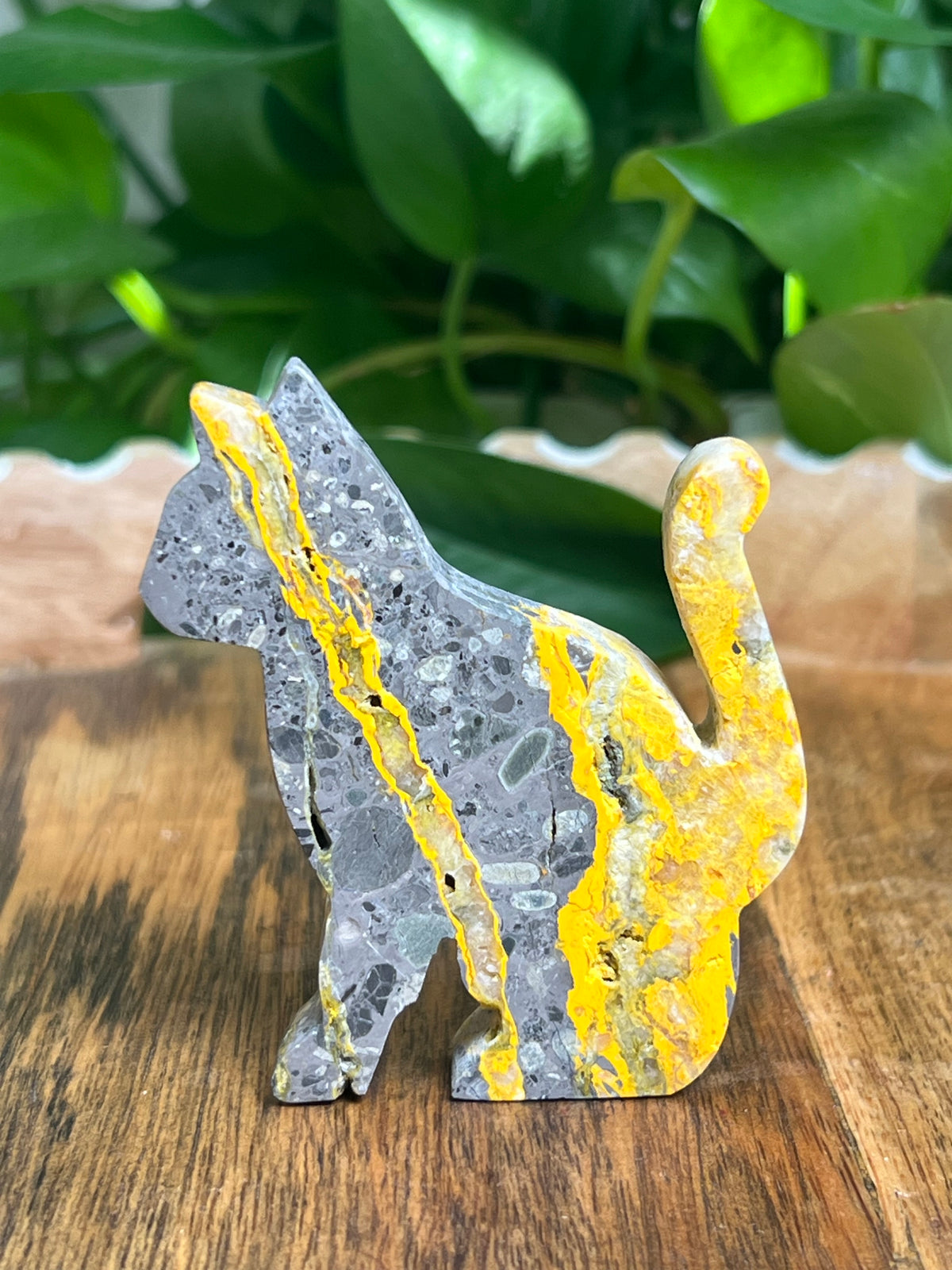 Bumblebee Jasper Cat: A