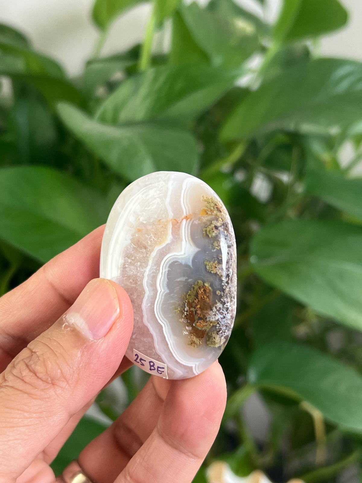 Scenic Moss Agate Palmstone: BE