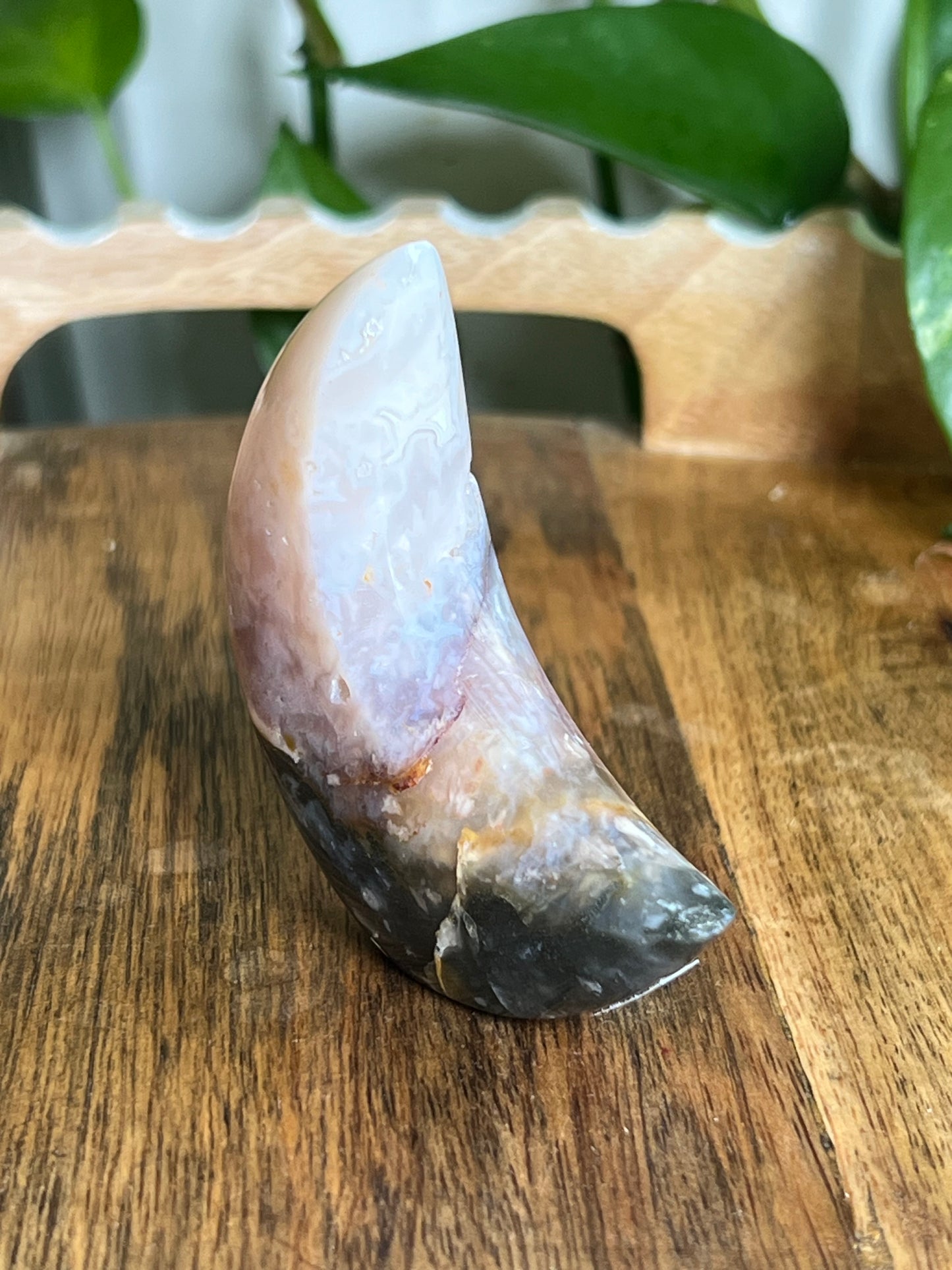 Rainbow Plume Agate Moon E