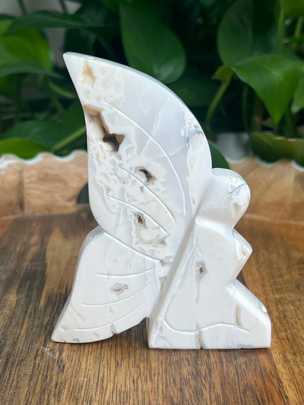 White Plume Agate Fairy: VK